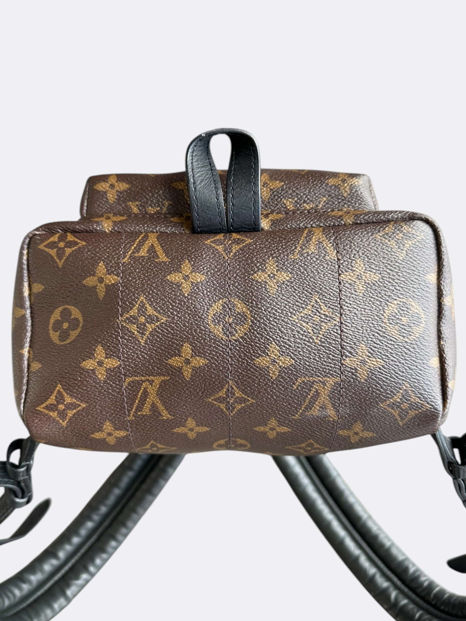 Louis Vuitton Brown Monogram Palm Springs Mini Backpack