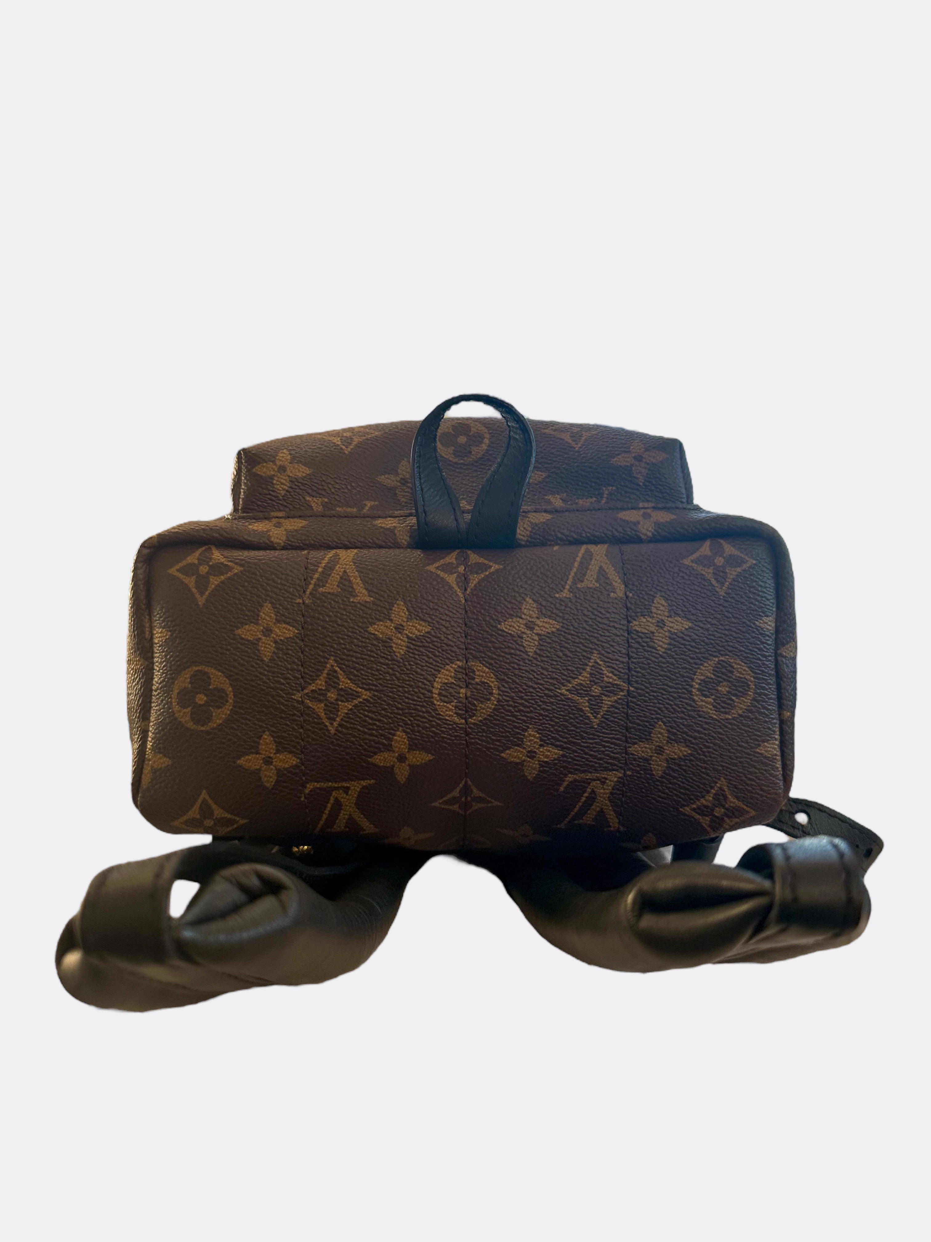 Louis Vuitton Brown Monogram Palm Springs Mini Backpack