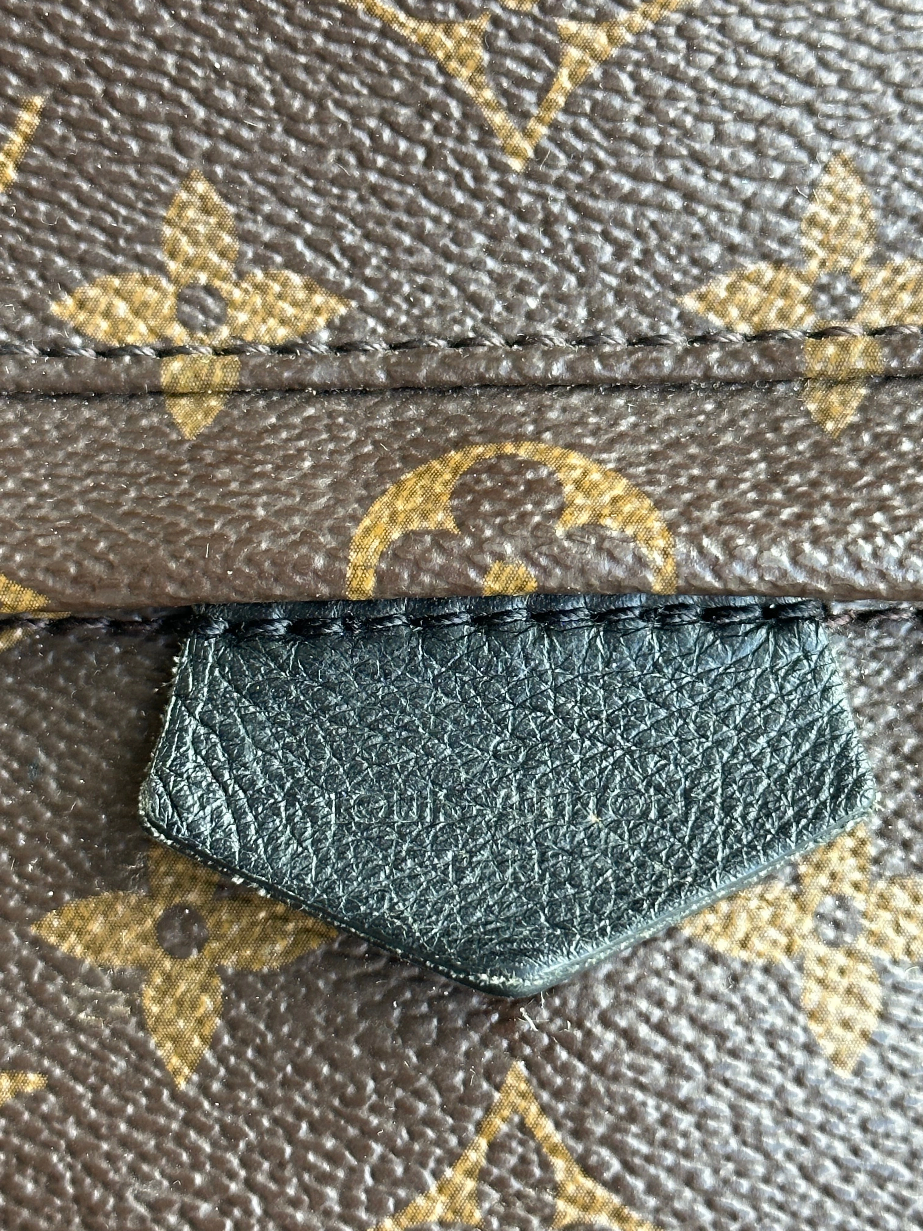 Louis Vuitton Brown Monogram Palm Springs Mini Backpack