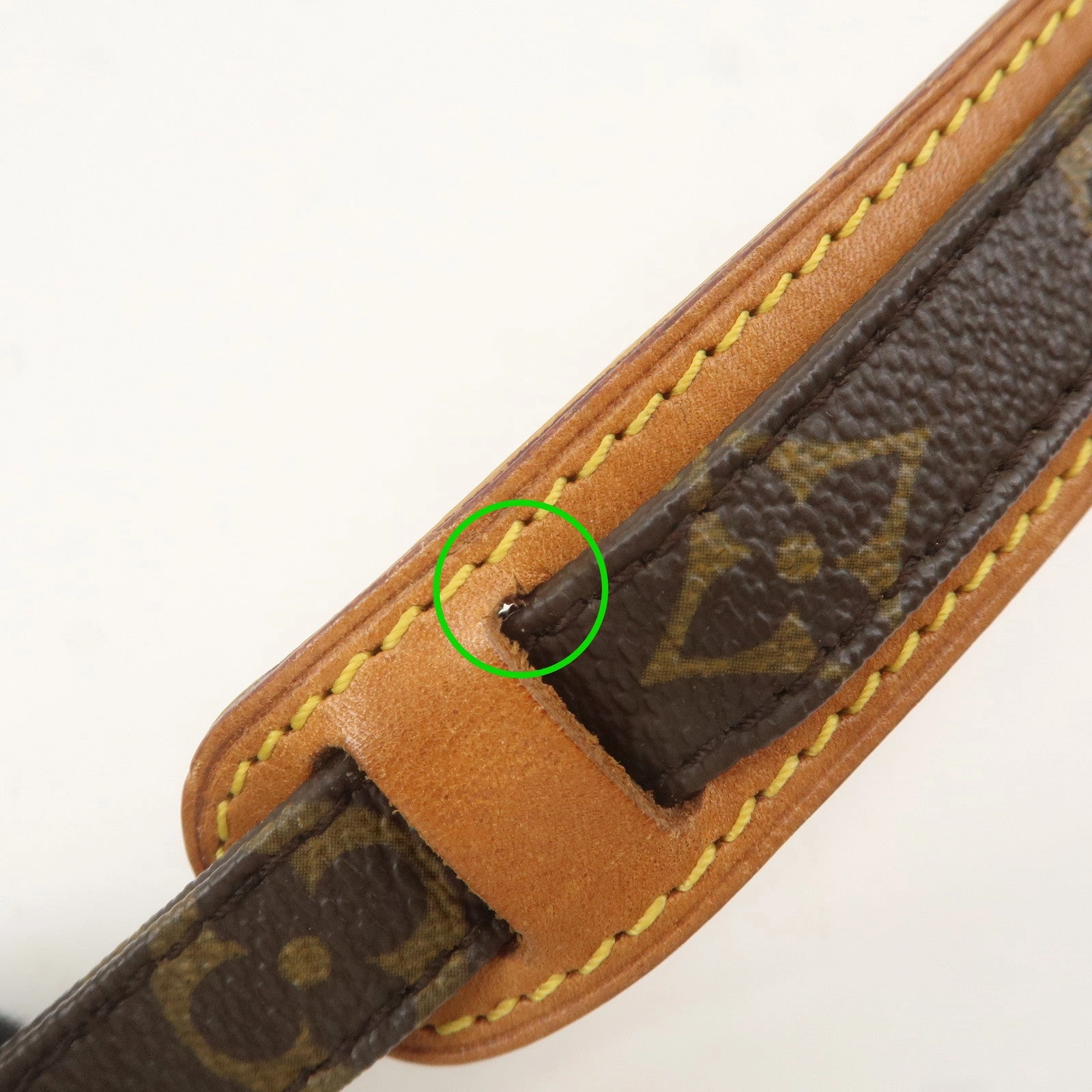 Louis Vuitton Monogram Danube Shoulder Bag Brown M45266