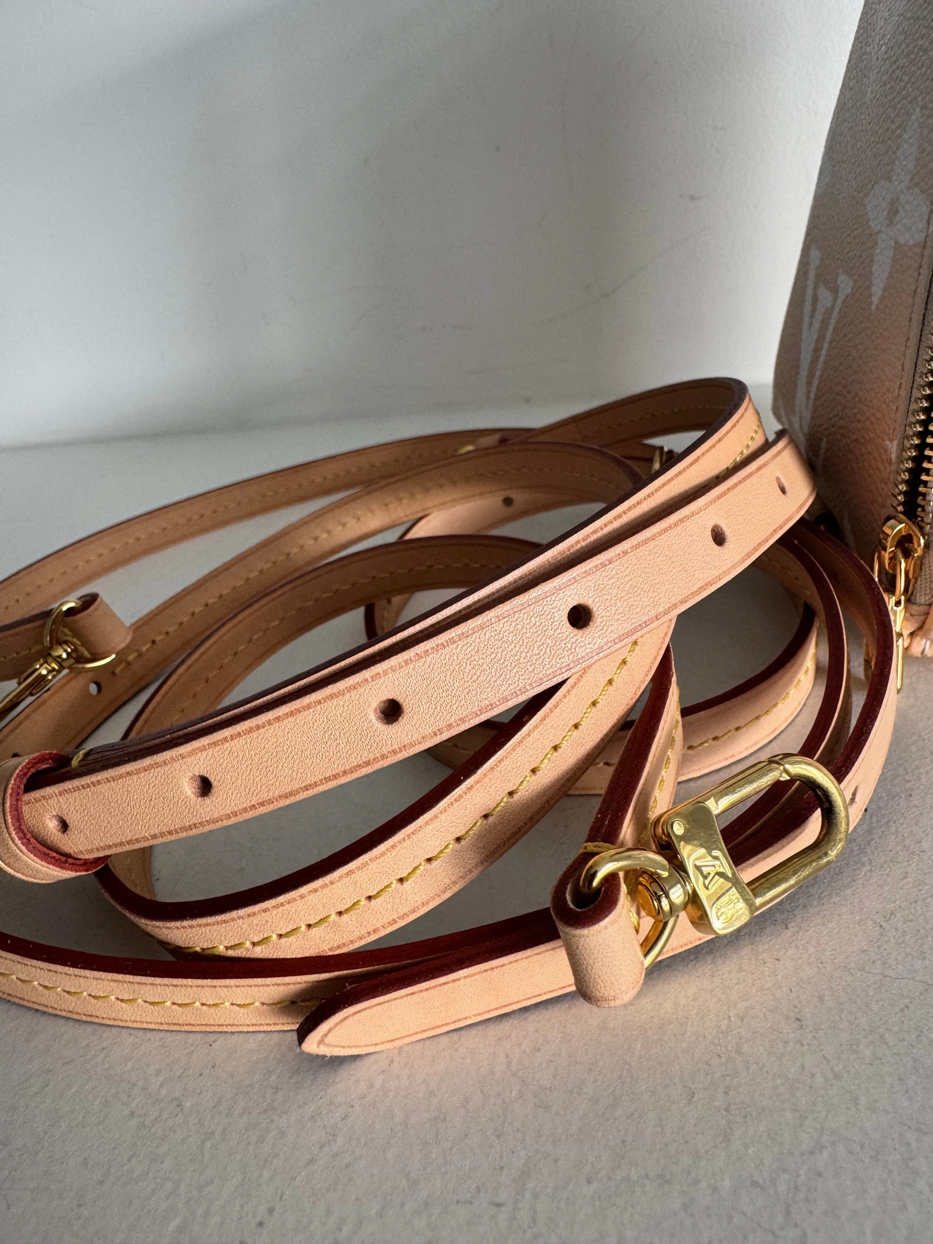 Louis Vuitton Monogram Giant By The Pool Backpack Brume