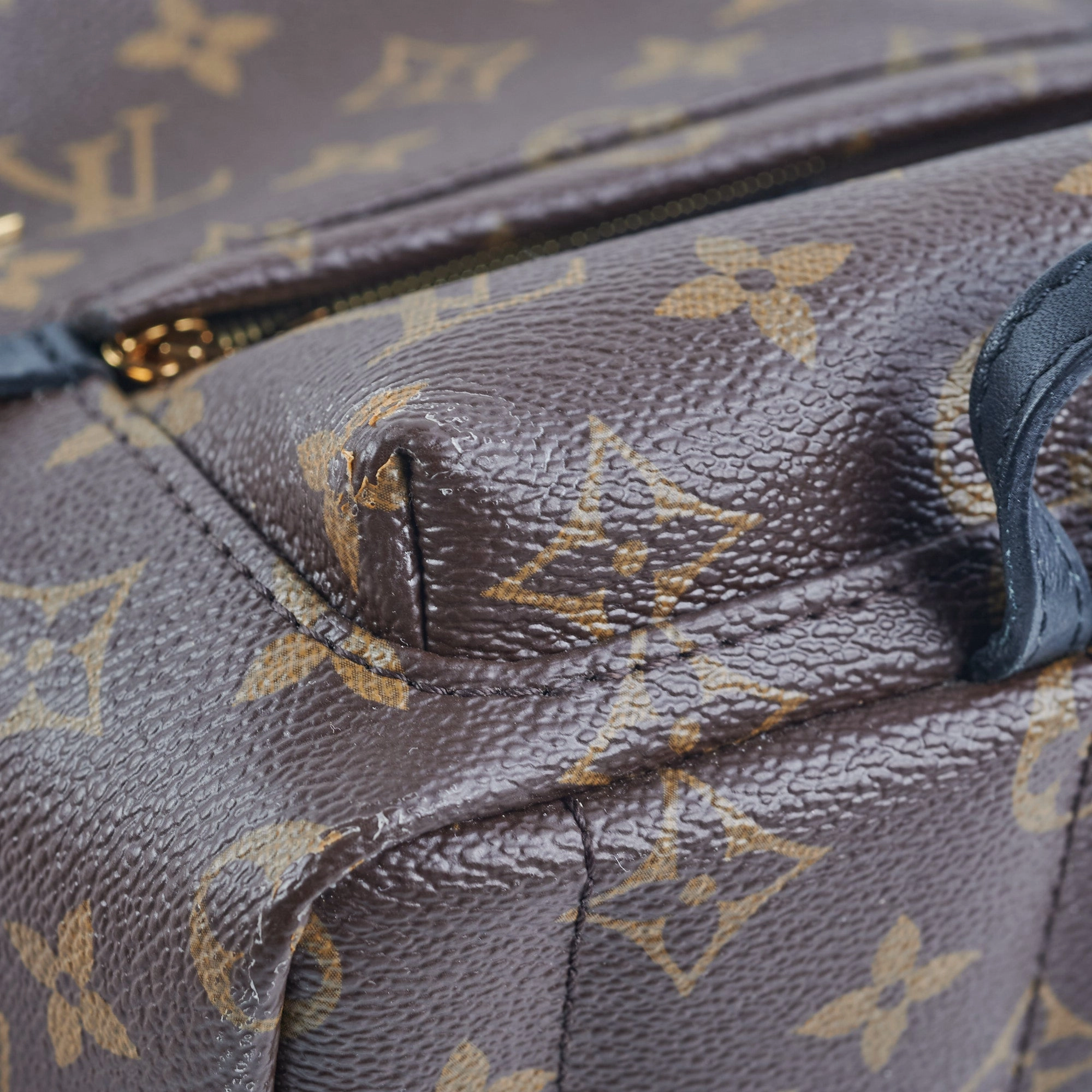 Louis Vuitton Palm Spring Mini Monogram