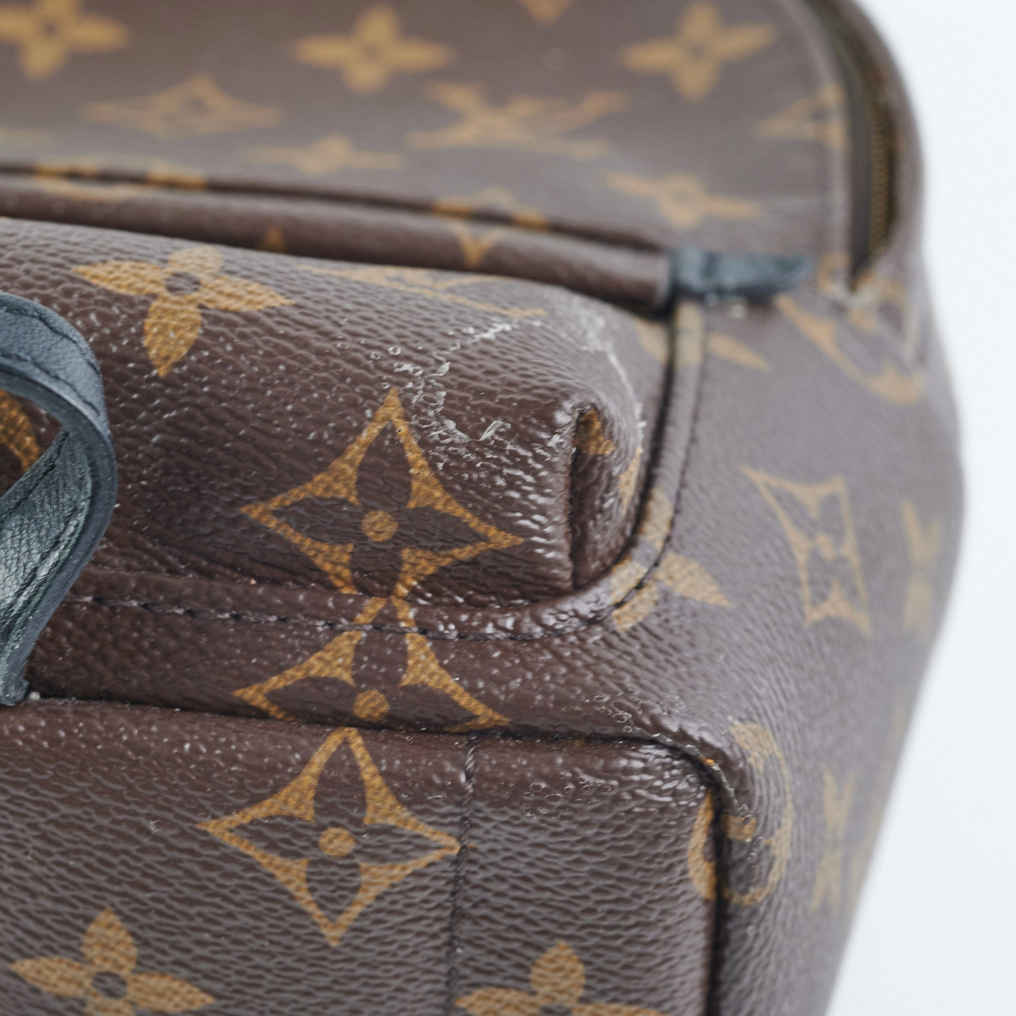 Louis Vuitton Palm Spring Mini Monogram