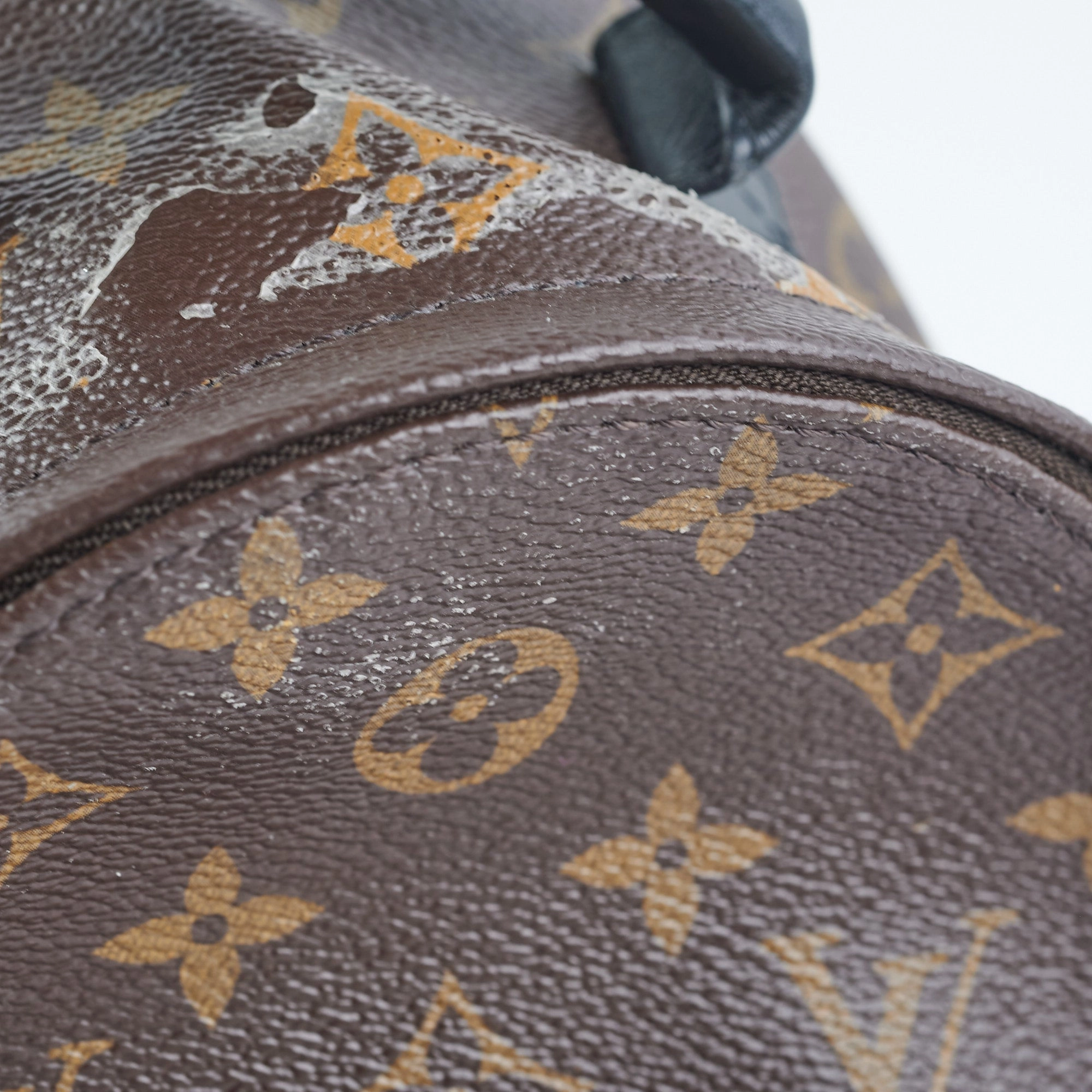 Louis Vuitton Palm Spring Mini Monogram