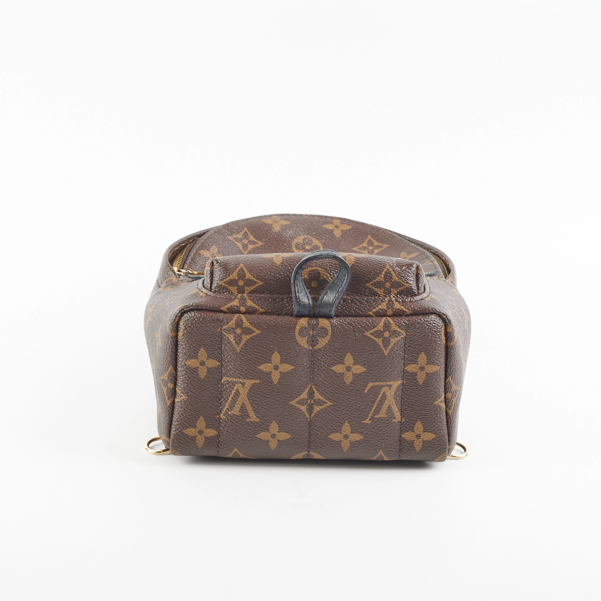 Louis Vuitton Palm Spring Mini Monogram