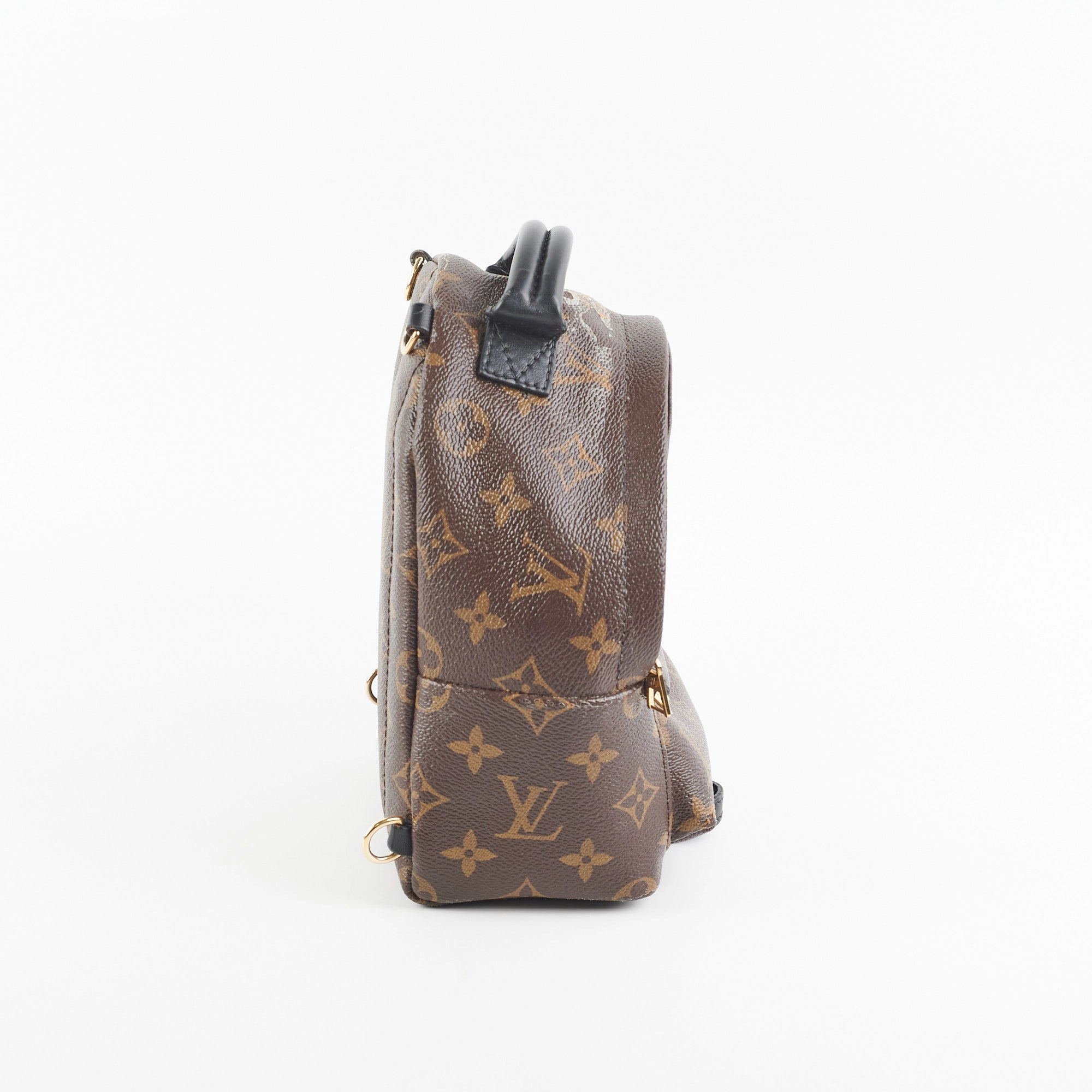 Louis Vuitton Palm Spring Mini Monogram