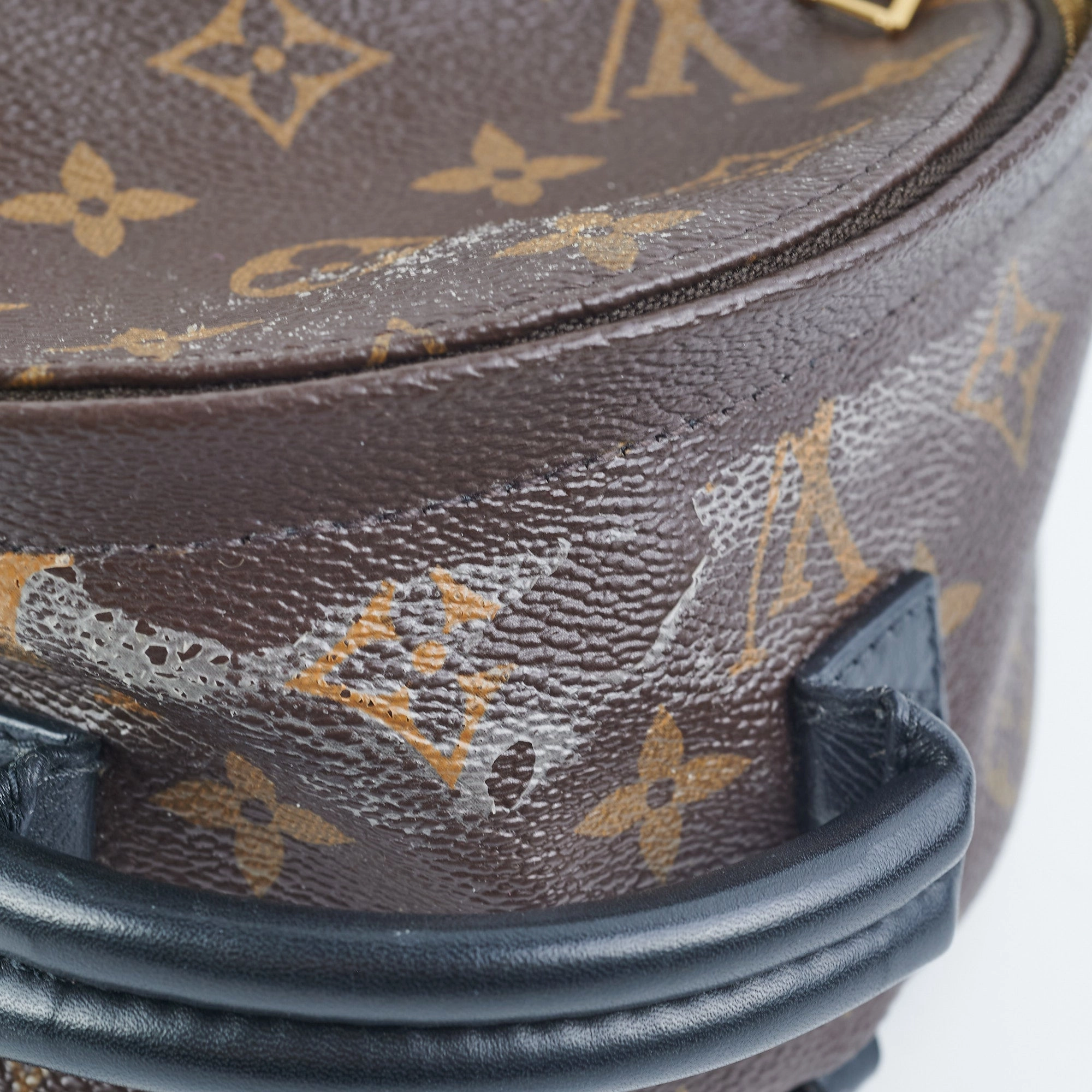 Louis Vuitton Palm Spring Mini Monogram