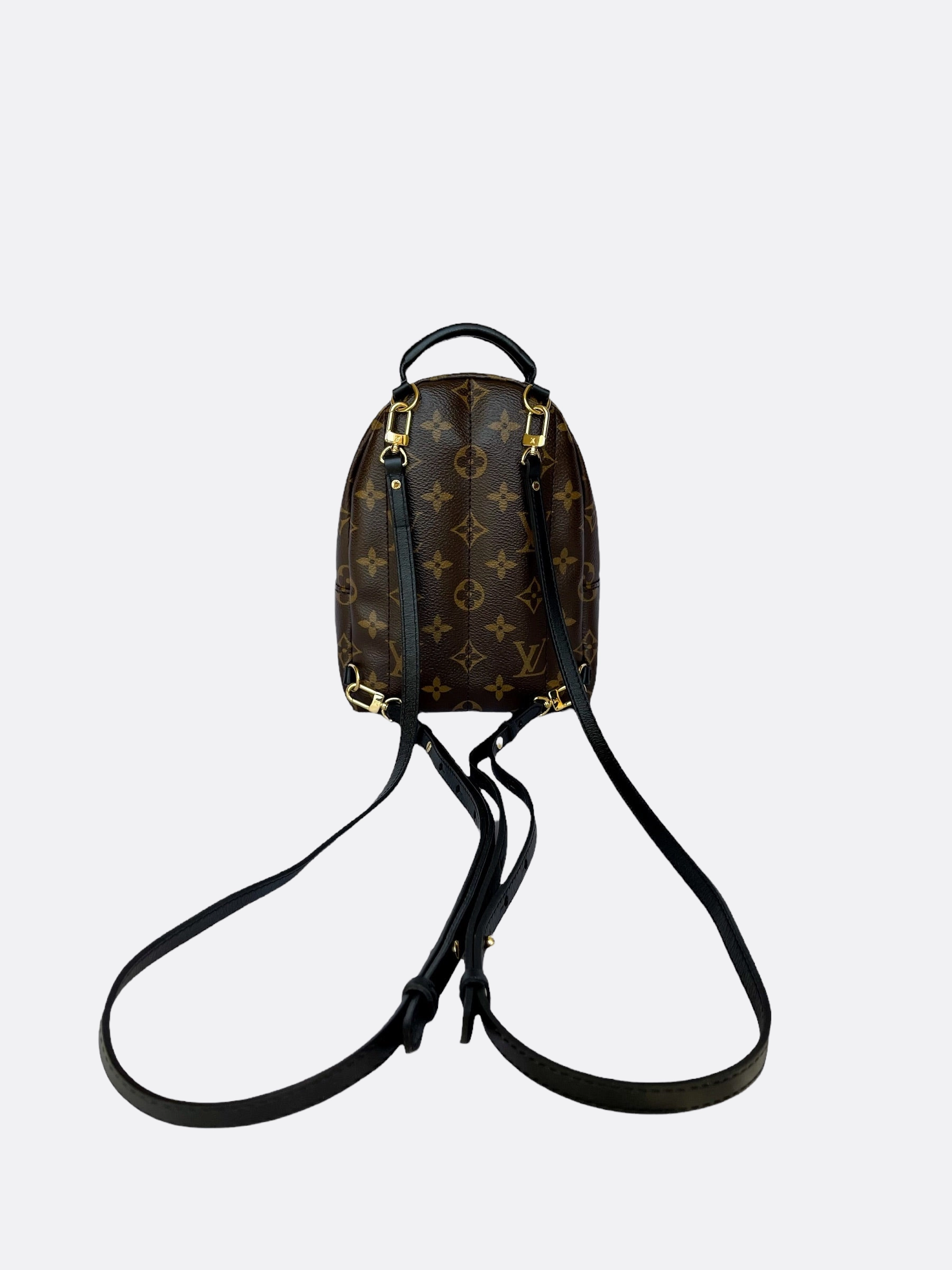 Louis Vuitton Palm Springs Mini Backpack
