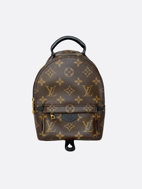 Louis Vuitton Palm Springs Mini Backpack