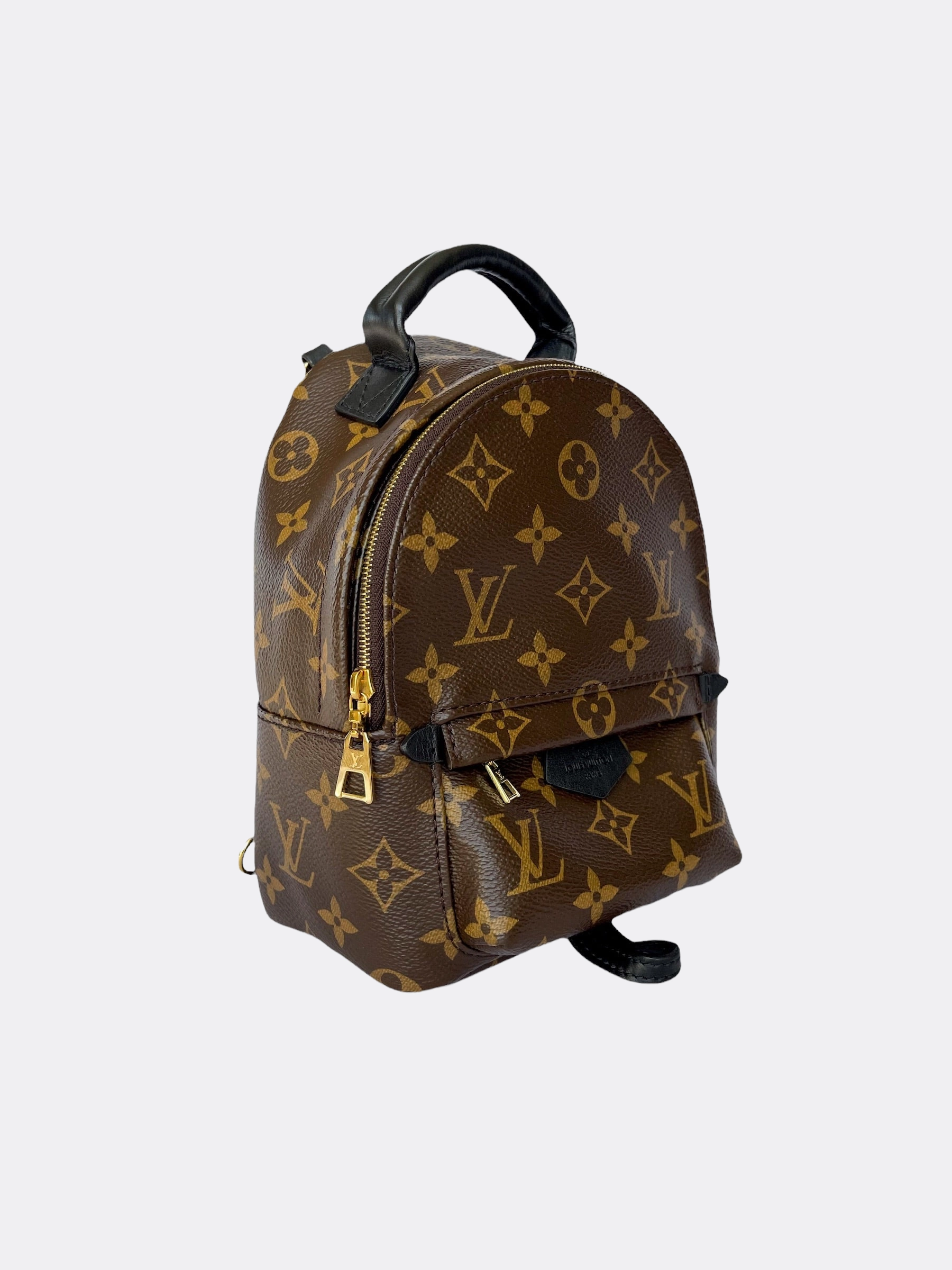 Louis Vuitton Palm Springs Mini Backpack