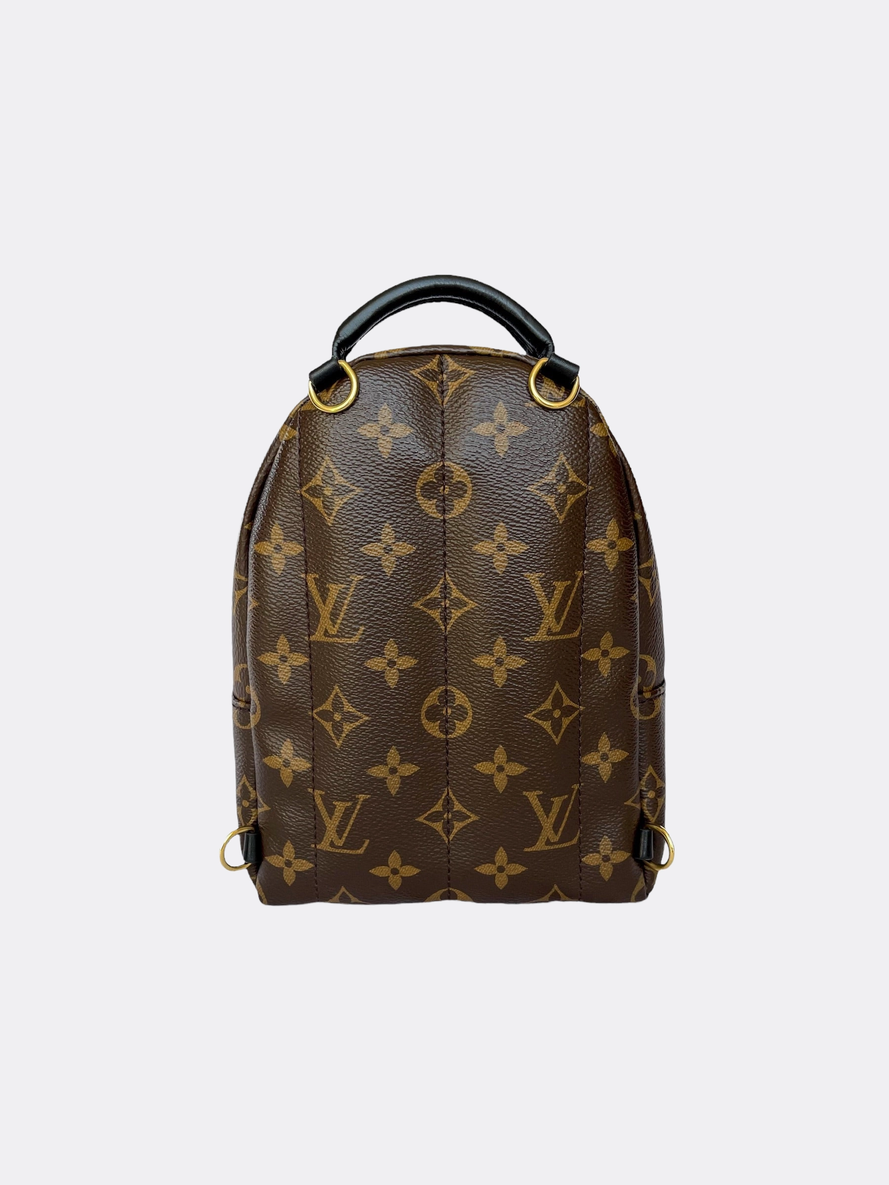 Louis Vuitton Palm Springs Mini Backpack