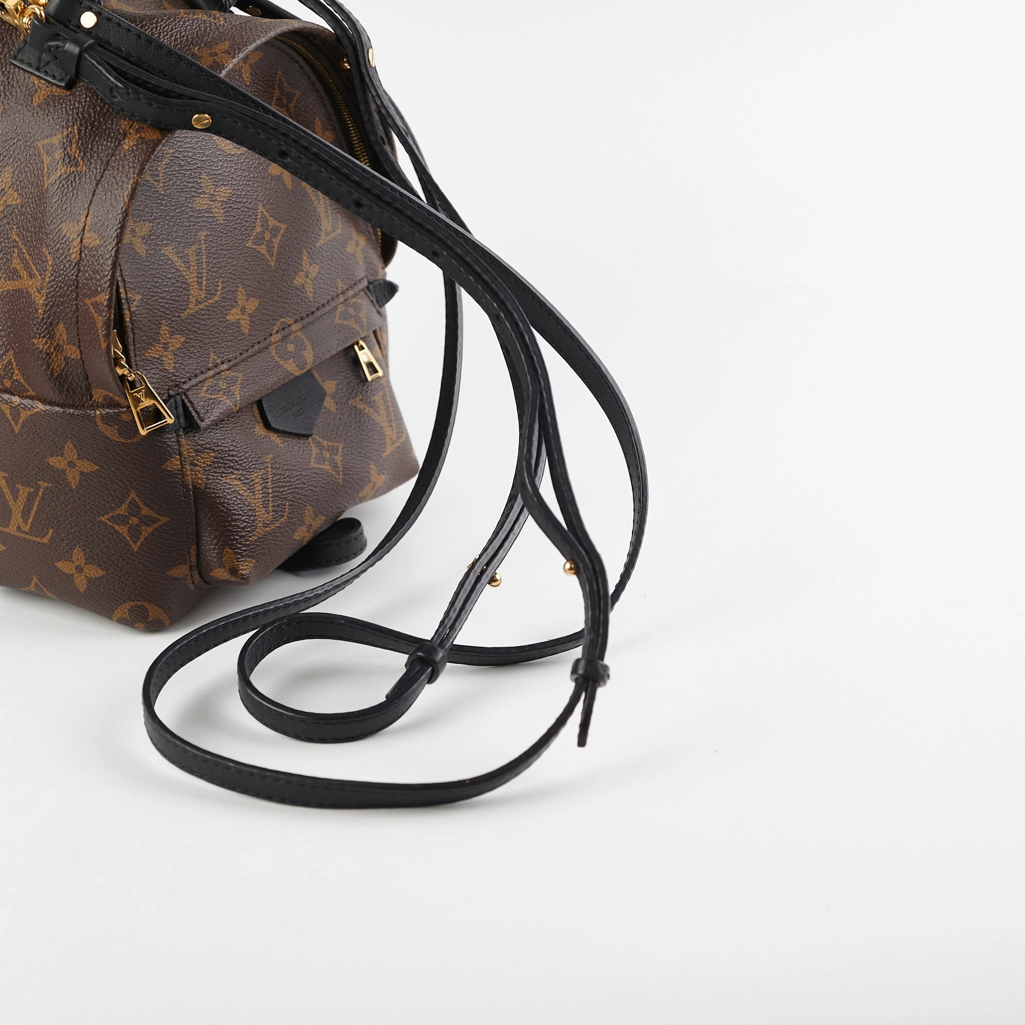 Louis Vuitton Palm Springs Mini Monogram Backpack