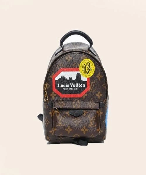 Louis Vuitton Palm Springs World Tour Backpack Mini Monogram