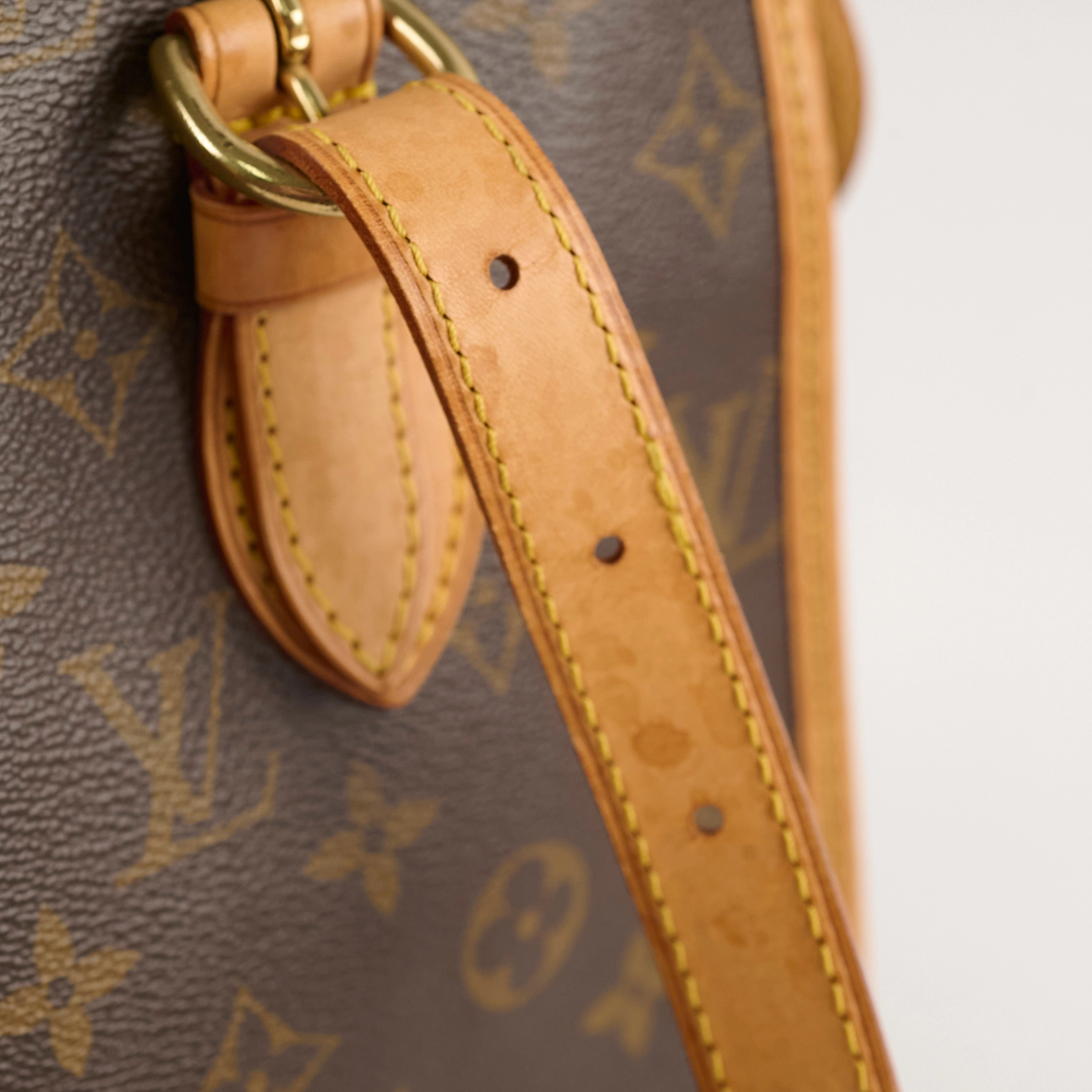Louis Vuitton Popincourt Haut Monogram