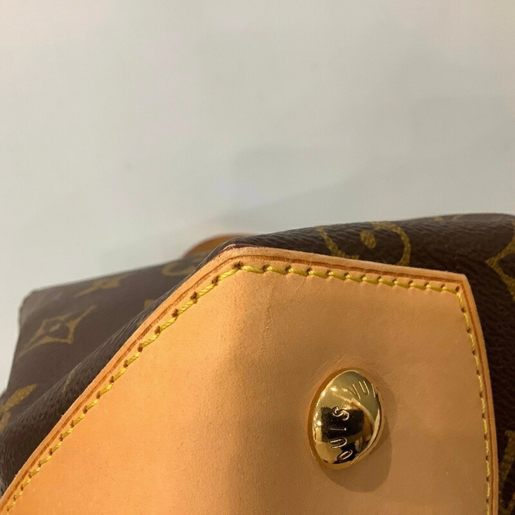 Louis Vuitton Pvc Tote Bag (Pre-Owned)