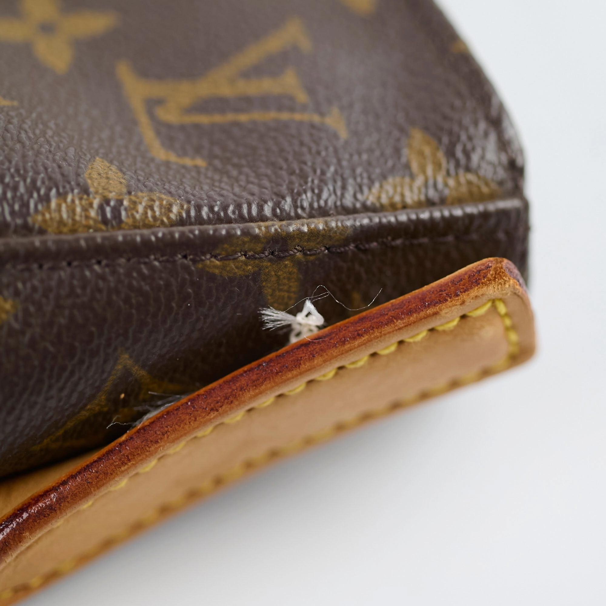 Louis Vuitton Tote Monogram