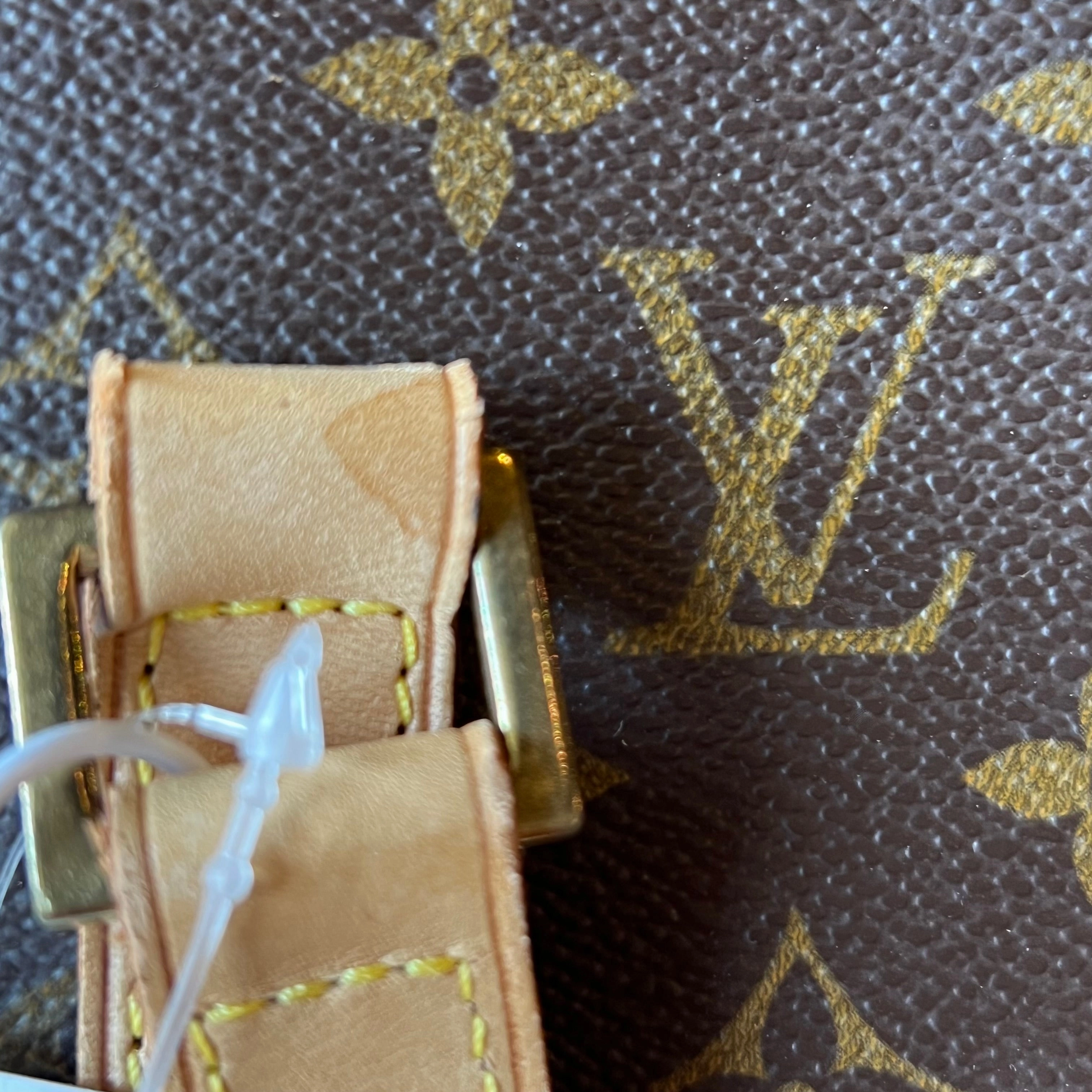 LOUIS VUITTON Vintage Monogram Luco Tote