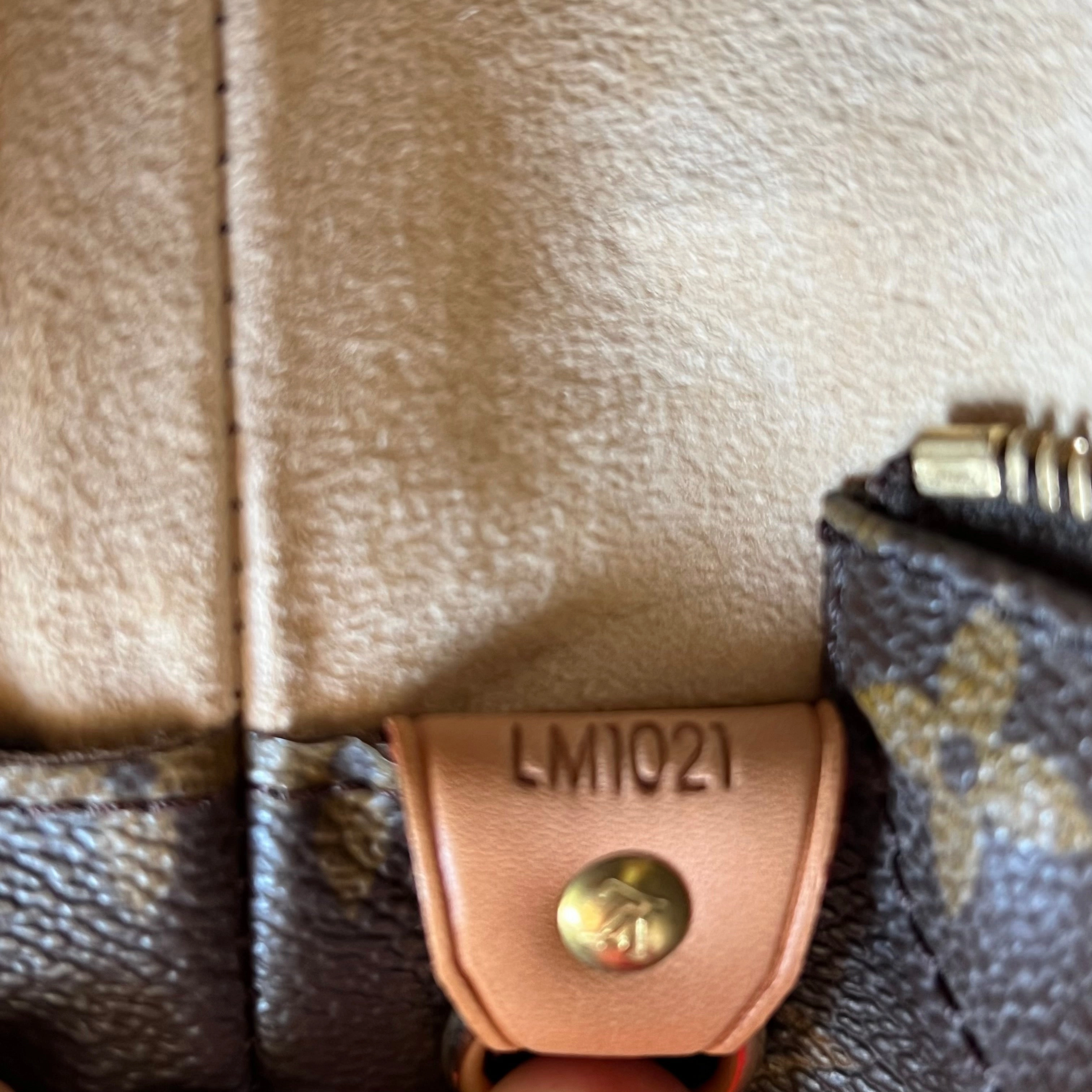 LOUIS VUITTON Vintage Monogram Luco Tote