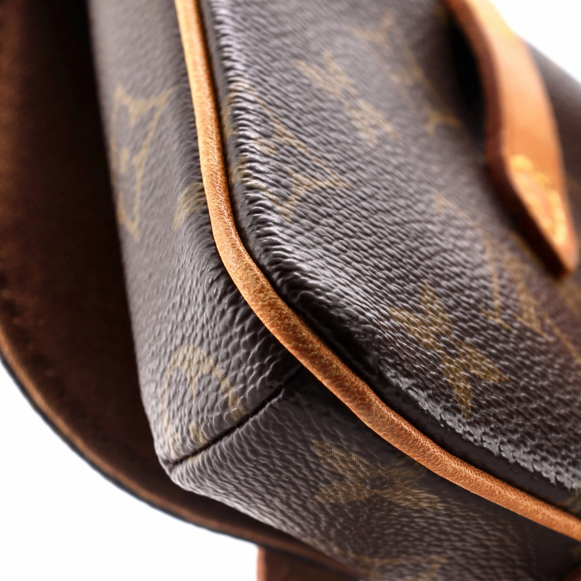 Marelle Waist Bag Monogram Canvas