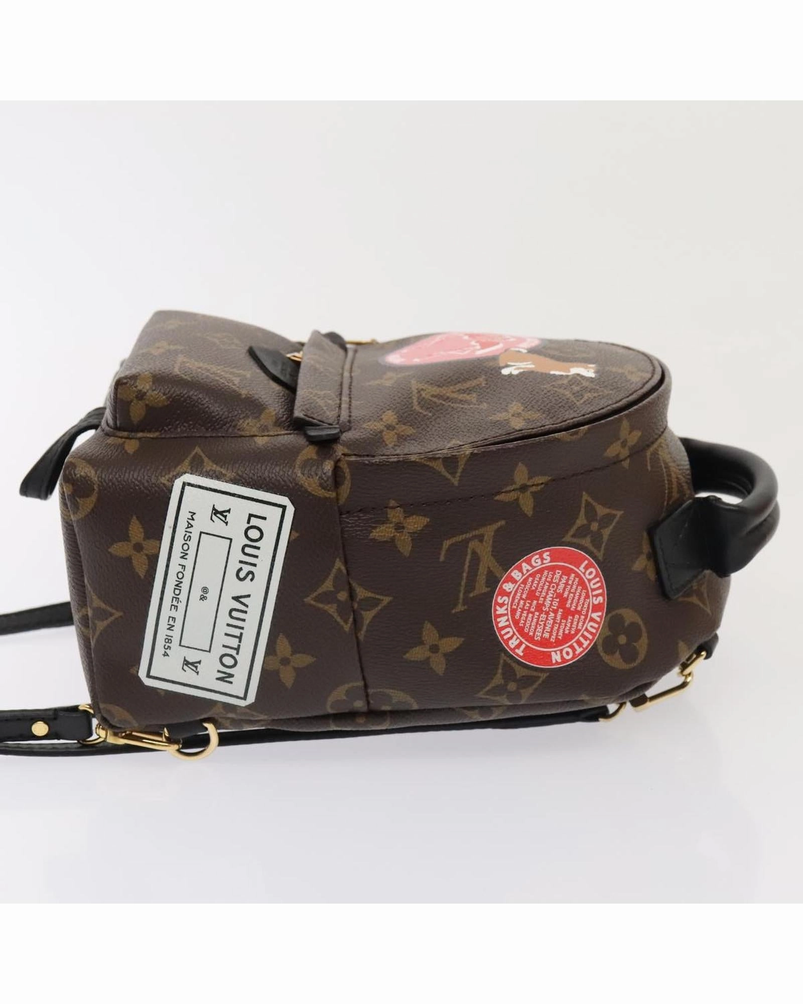 Monogram Canvas Mini Backpack with Dust Bag and Item Box