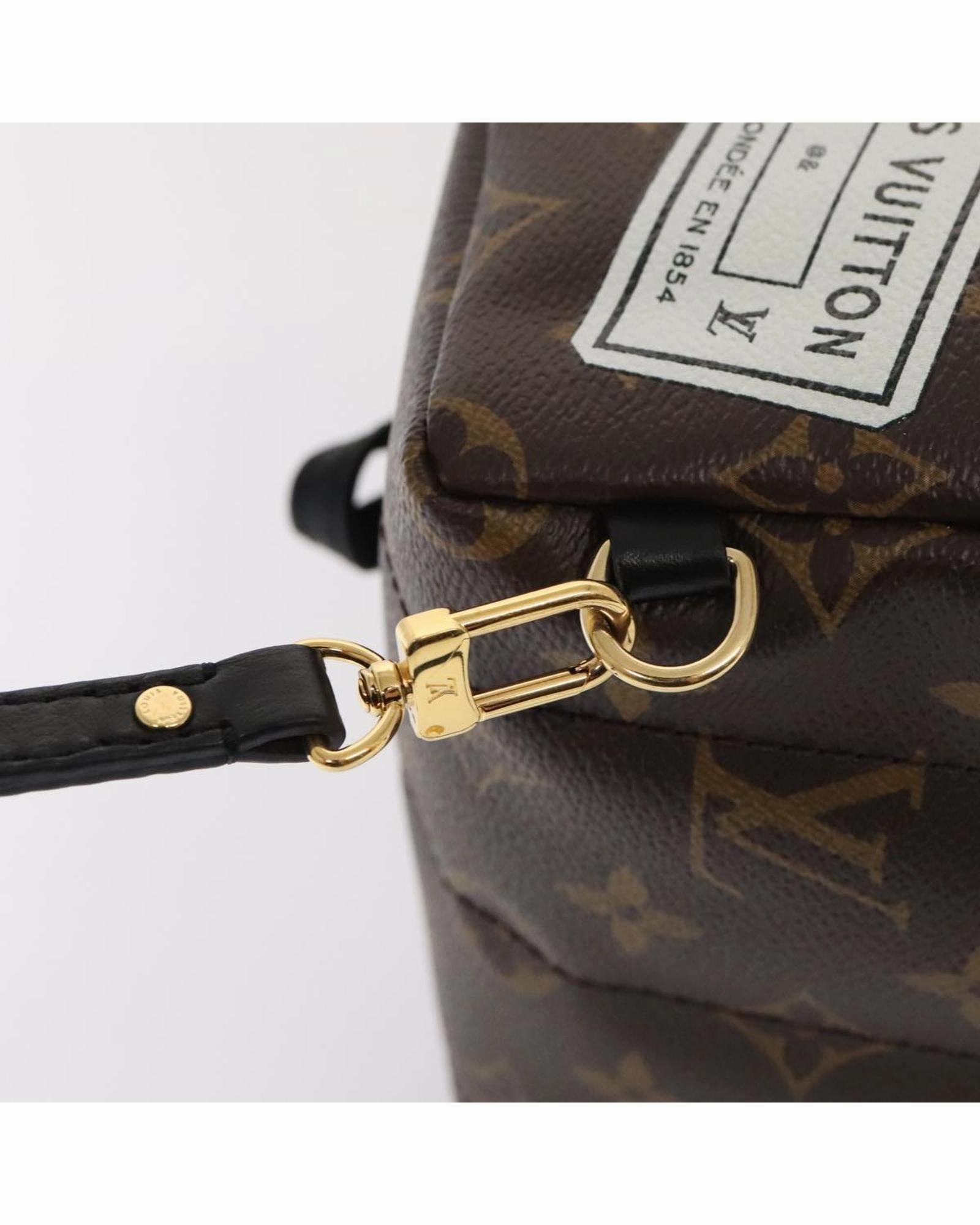 Monogram Canvas Mini Backpack with Dust Bag and Item Box