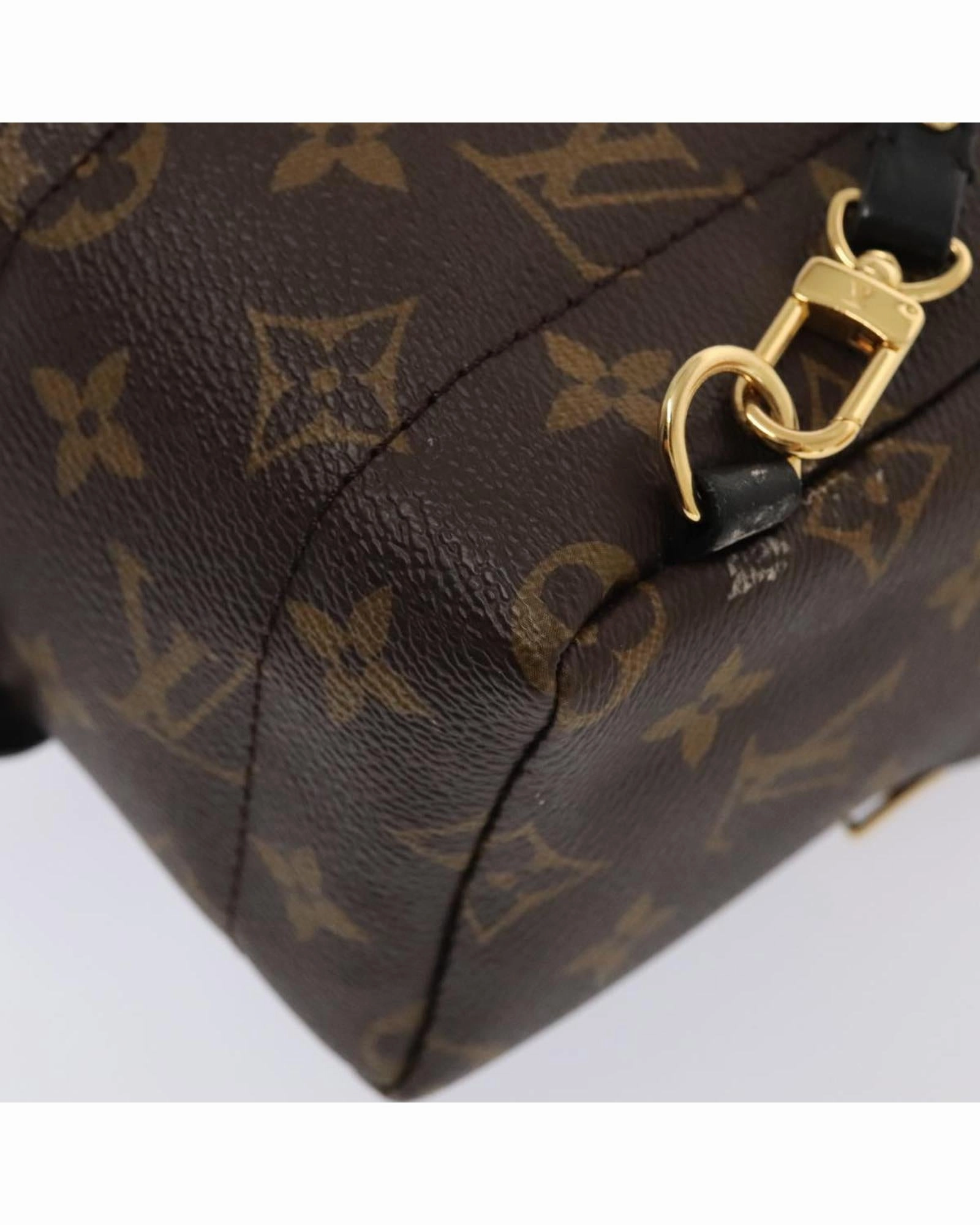 Monogram Canvas Mini Backpack with Dust Bag and Item Box