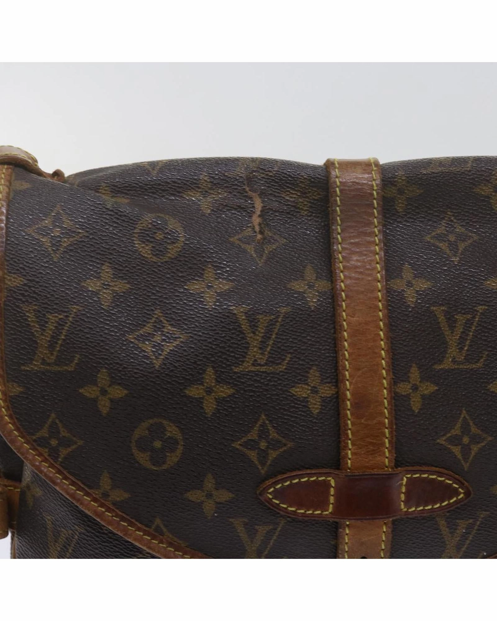 Monogram Canvas Pont Neuf PM Shoulder Bag