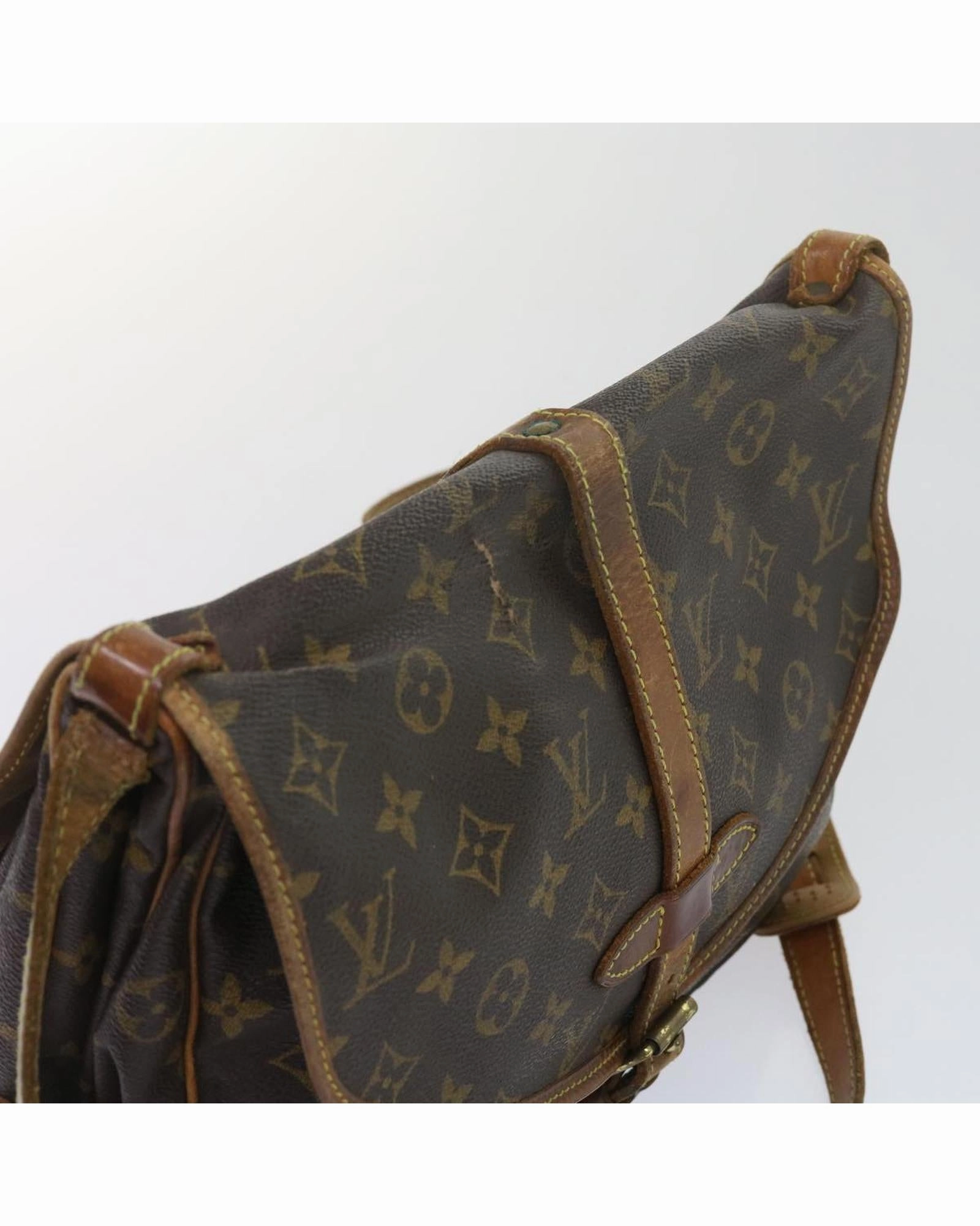 Monogram Canvas Pont Neuf PM Shoulder Bag