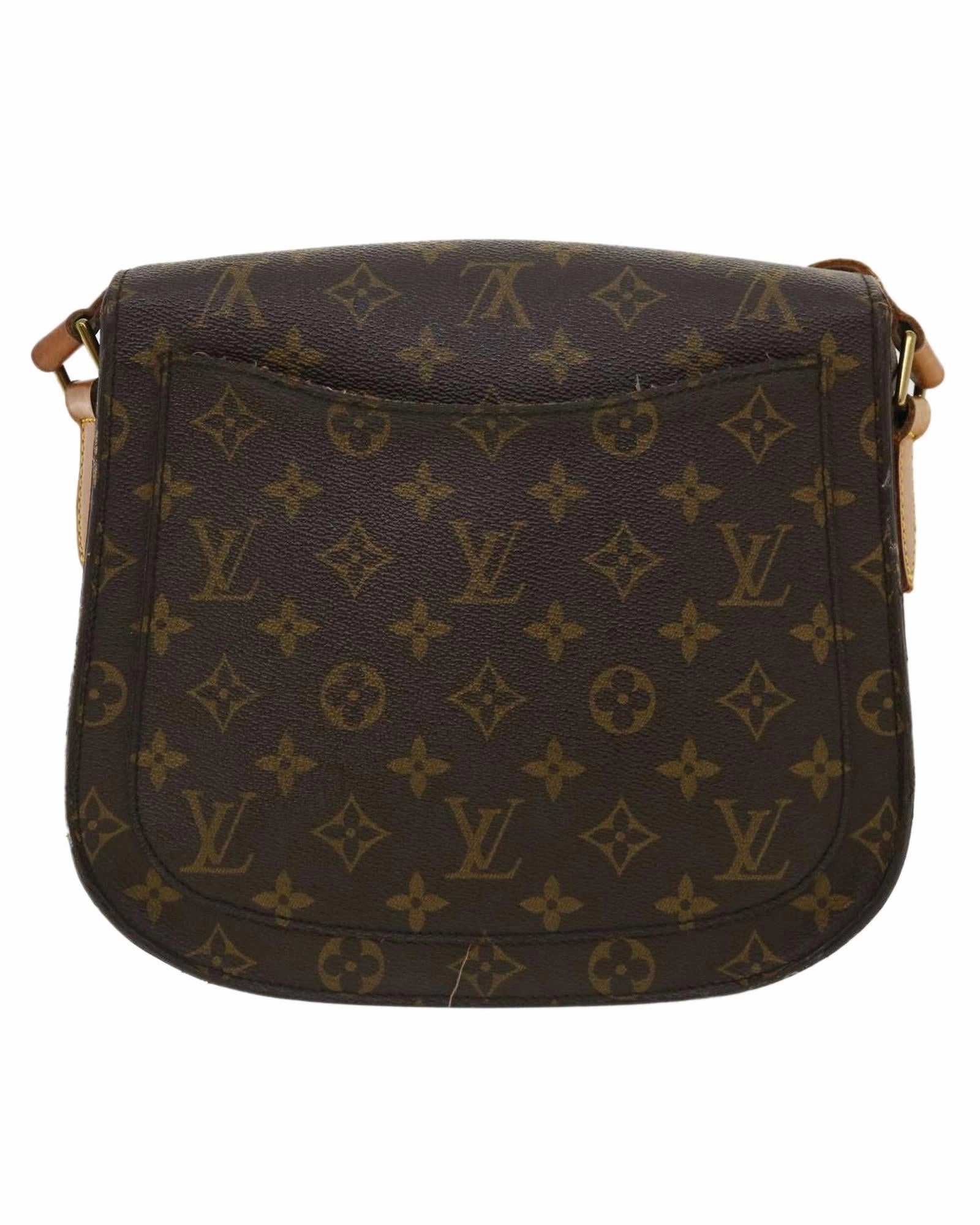 Monogram Canvas Postine Shoulder Bag