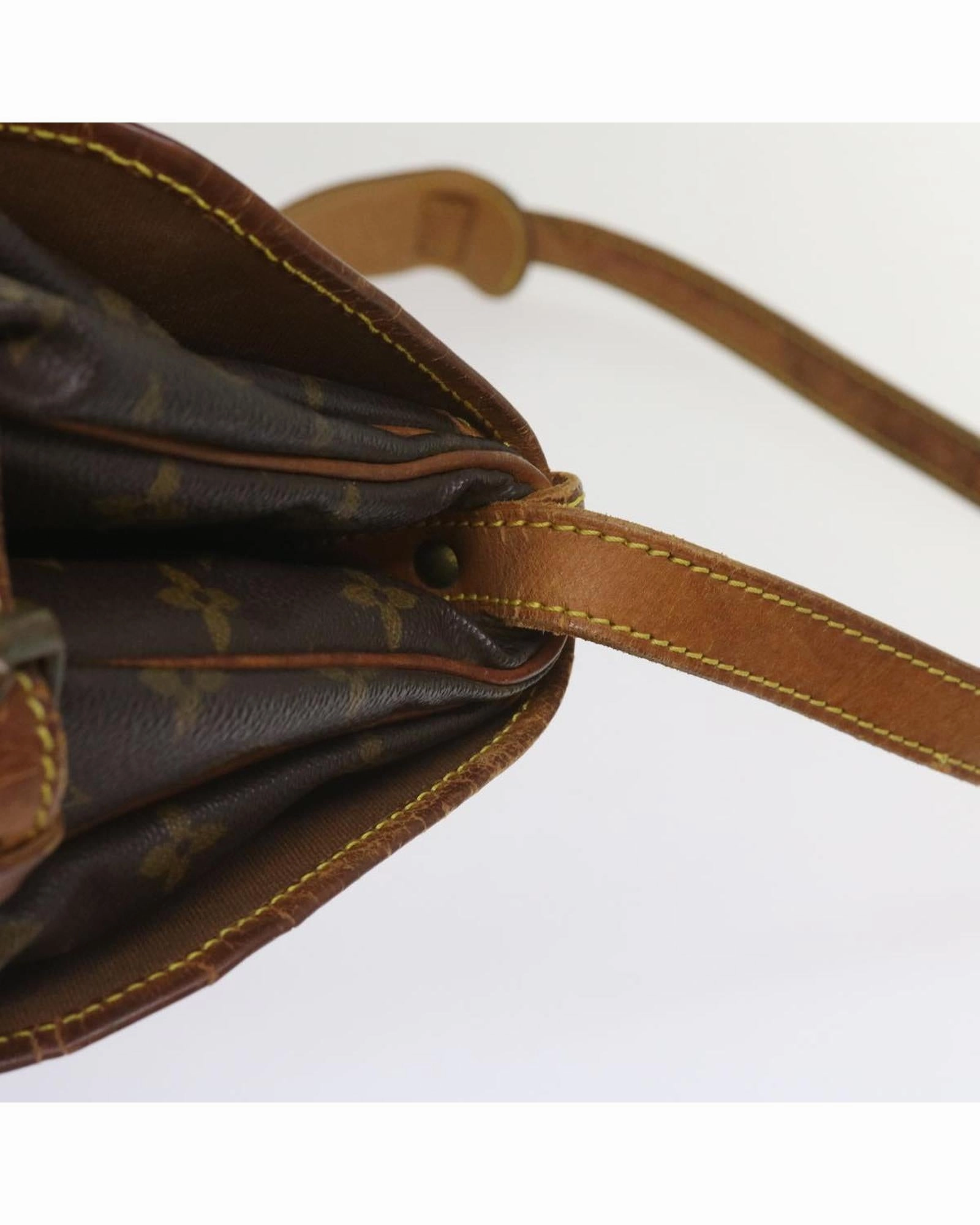 Monogram Canvas Reporter PM Shoulder Bag