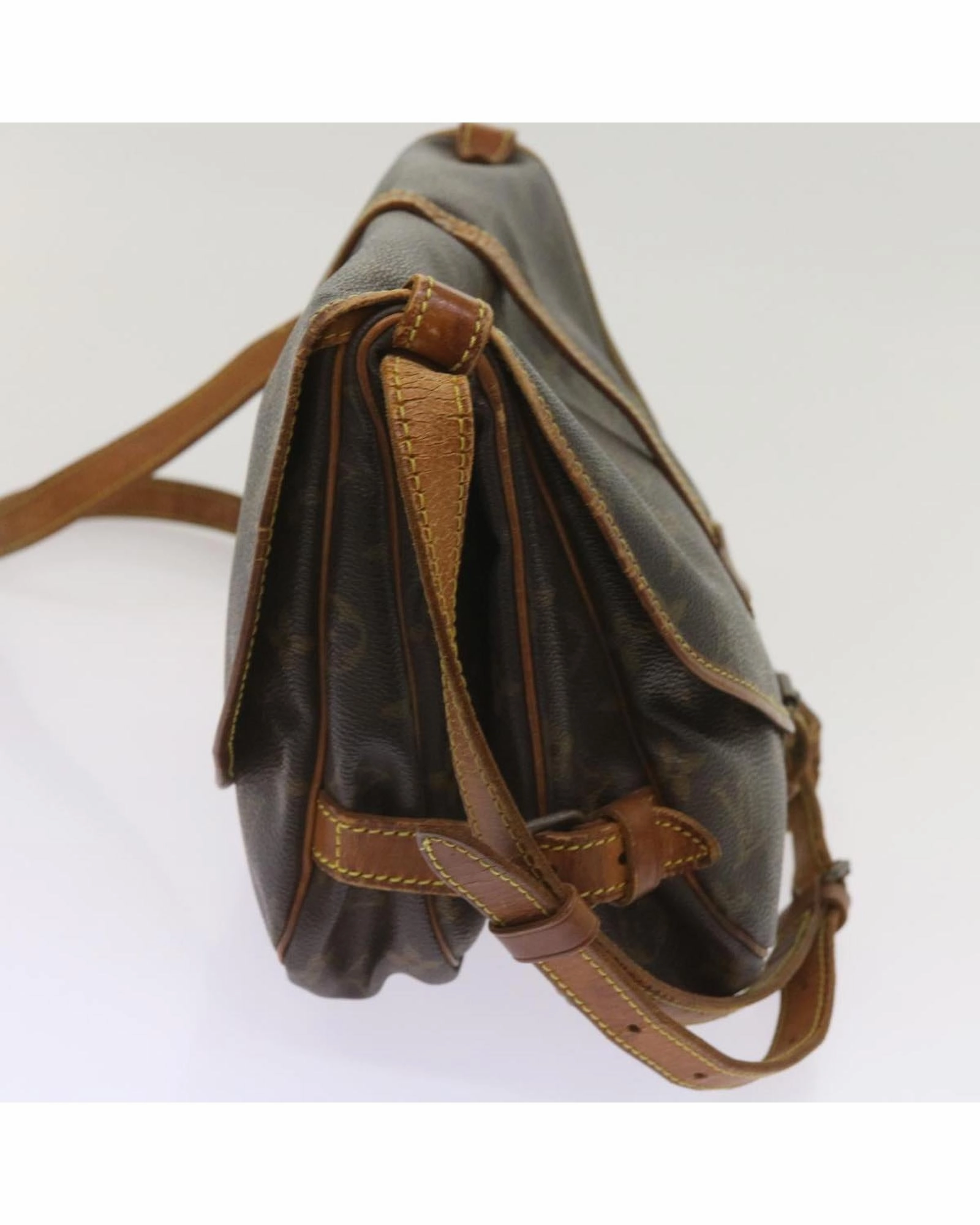 Monogram Canvas Reporter PM Shoulder Bag