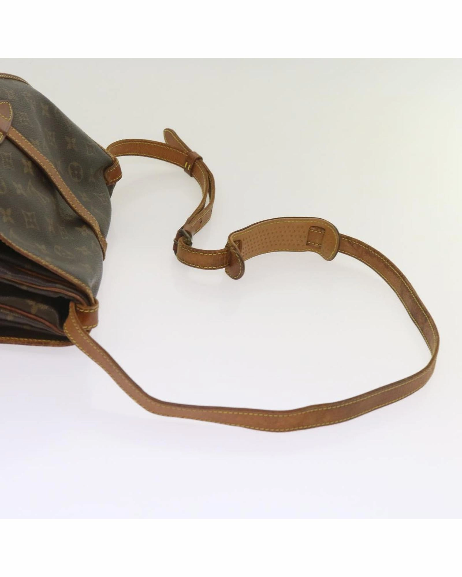 Monogram Canvas Reporter PM Shoulder Bag