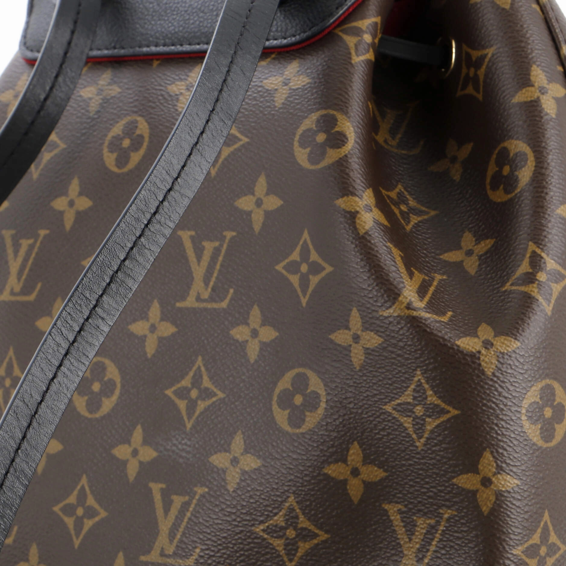 Montsouris NM Backpack Monogram Canvas with Leather PM