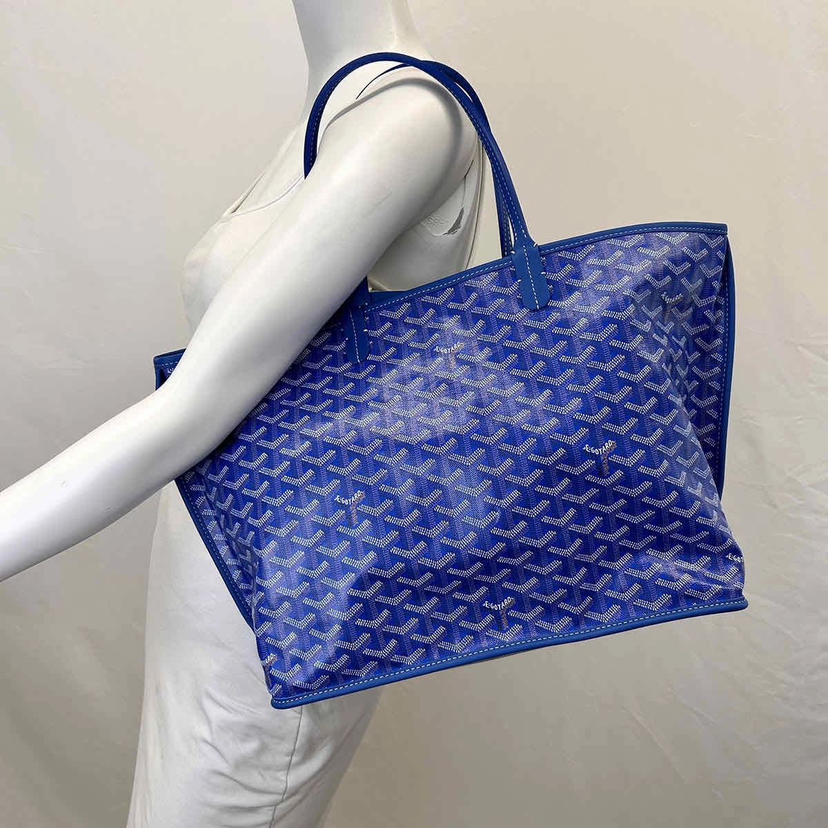 New Goyard 2024 Goyardine Reversible Anjou PM Tote