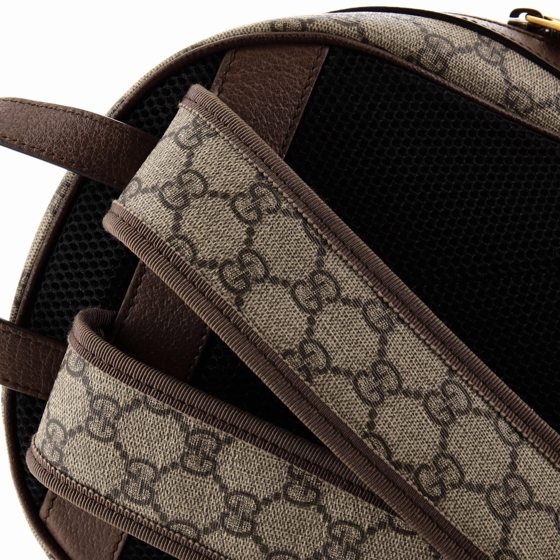 Ophidia Backpack GG Coated Canvas Small