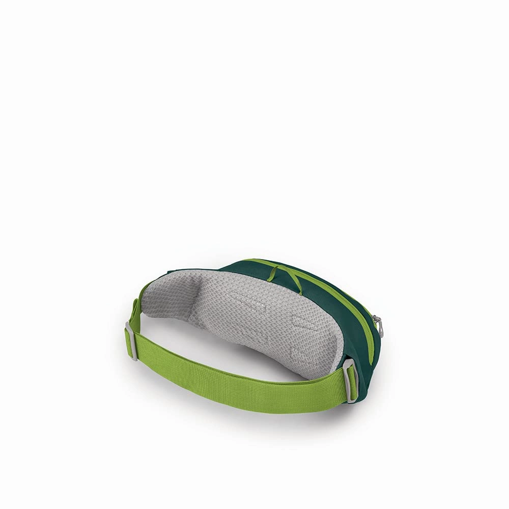 Osprey Packs Daylite Waist Pack