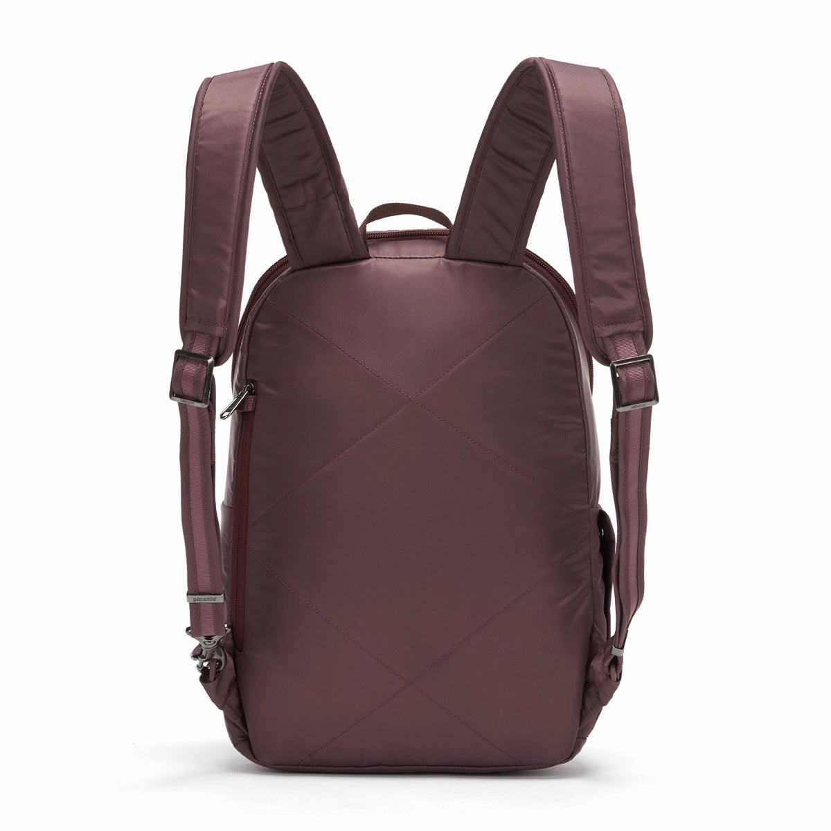 Pacsafe Cruise Anti-Theft Essentials Backpack