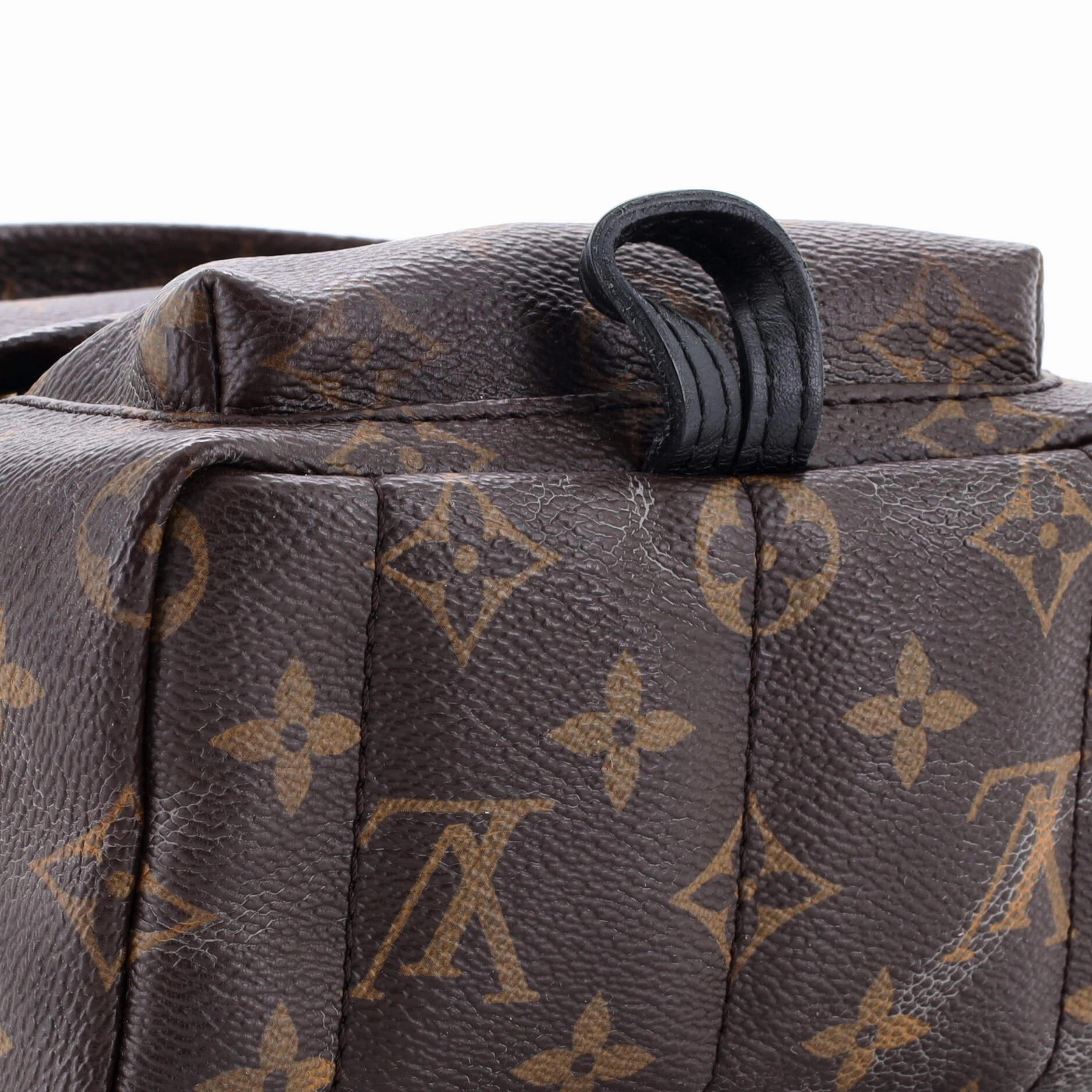 Palm Springs Backpack Monogram Canvas Mini