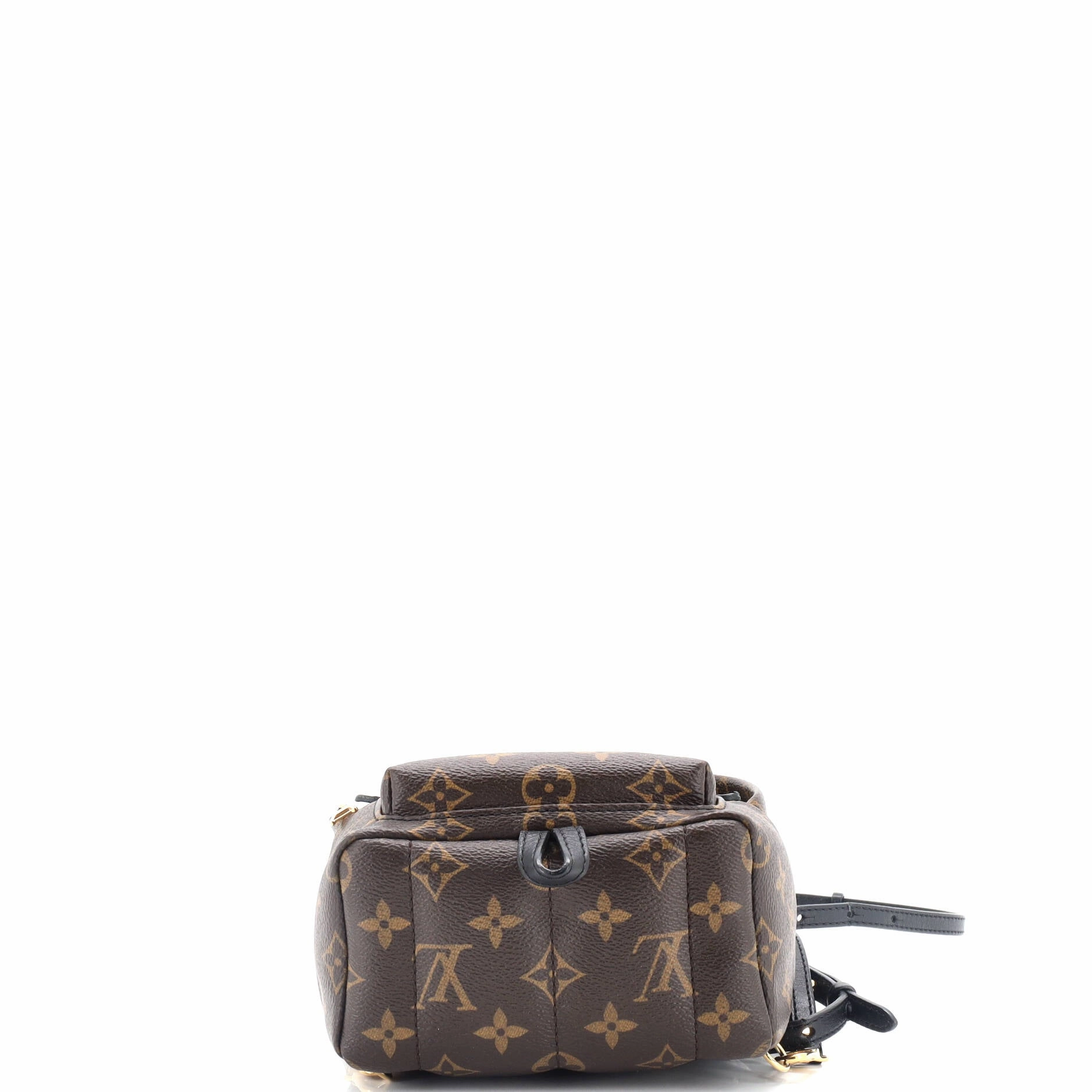 Palm Springs Backpack Monogram Canvas Mini
