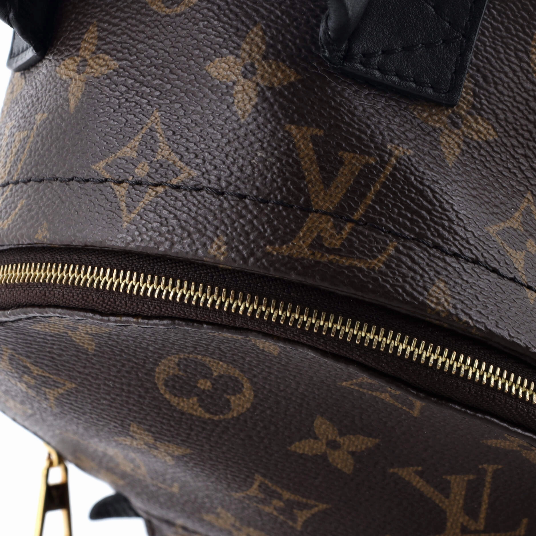 Palm Springs Backpack Monogram Canvas Mini