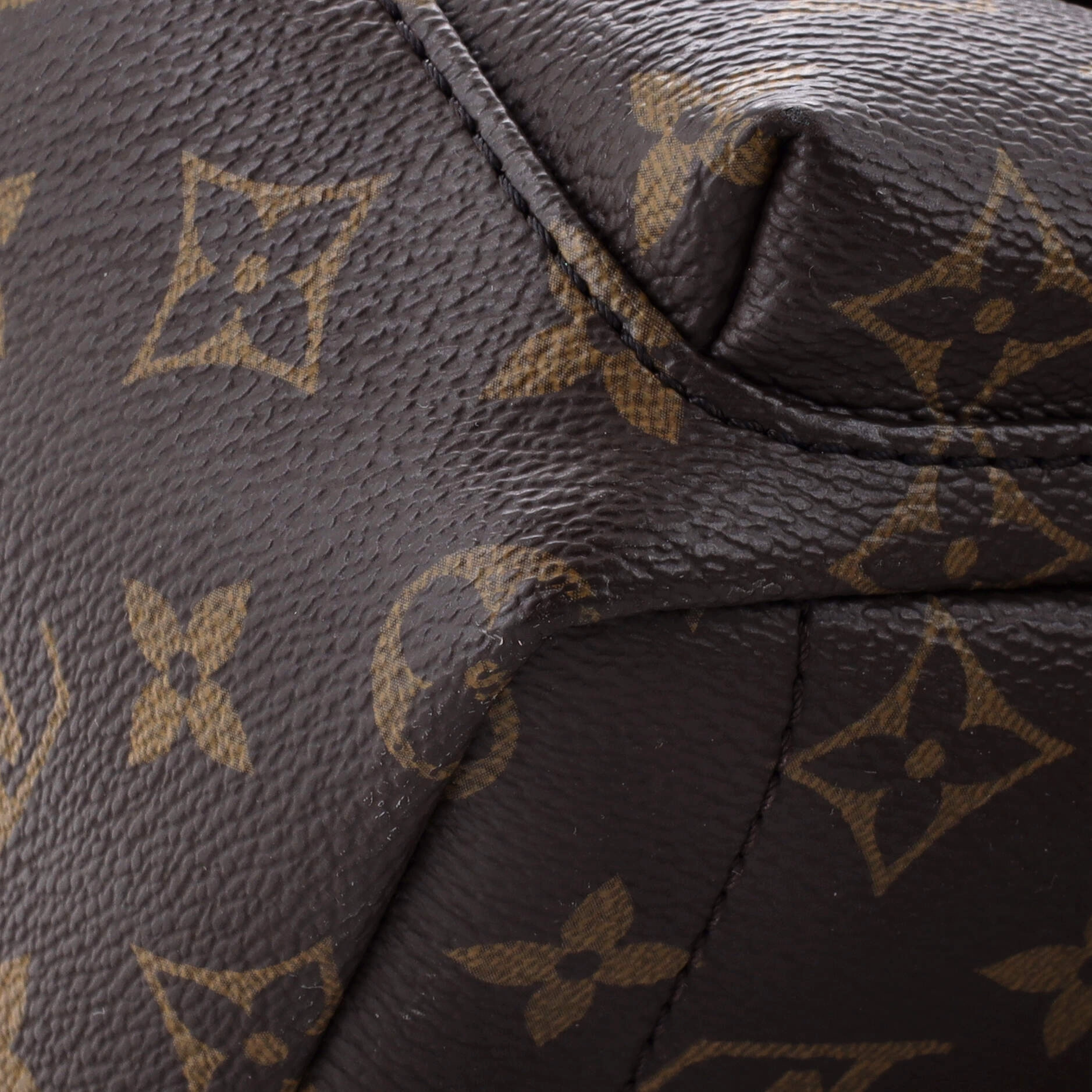 Palm Springs Backpack Monogram Canvas Mini