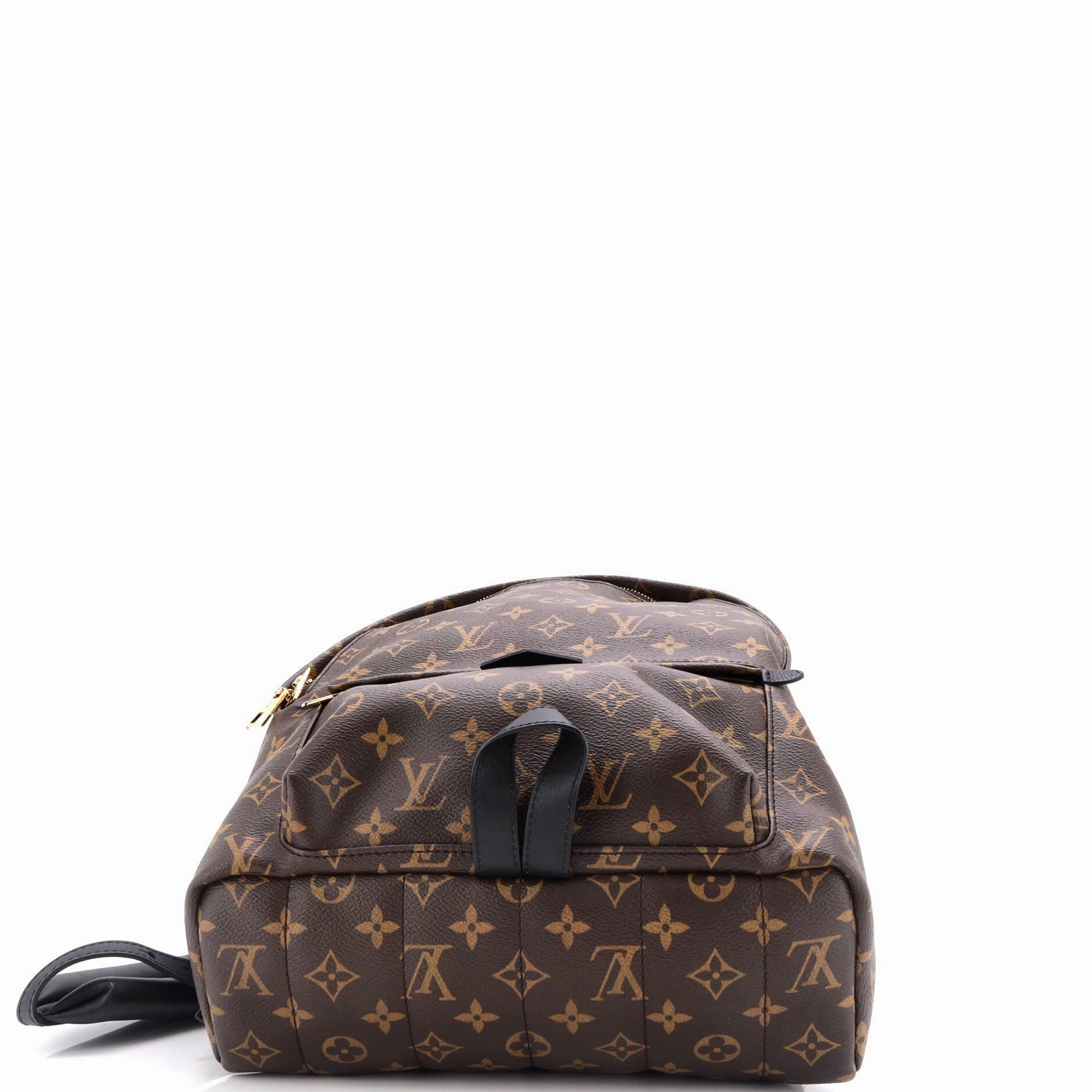 Palm Springs Backpack Monogram Canvas MM