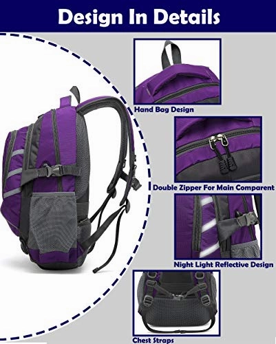ProEtrade Backpack Daypack for School College Laptop Travel, Computer Bookbag Bag with USB Charging Port Anti Theft Laptop Compartment Fits 15.6 Inch Notebook, Gifts for Men & Women (Purple)