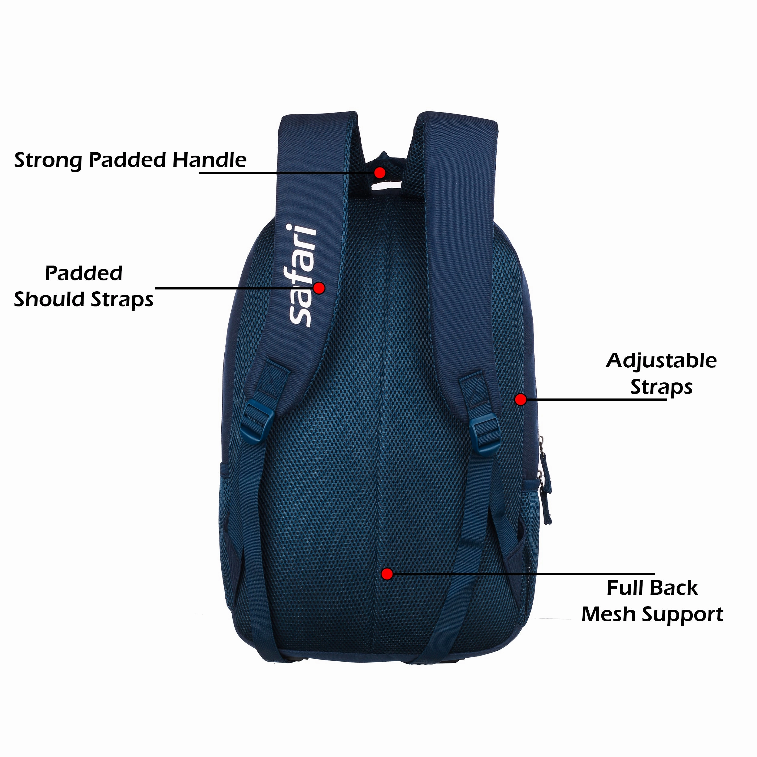 Safari Tritan 36 L Formal Backpack