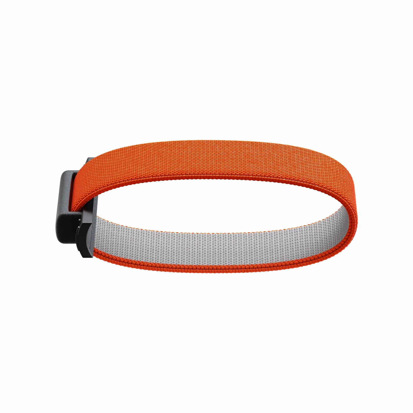 SECRID - Bandwallet Band