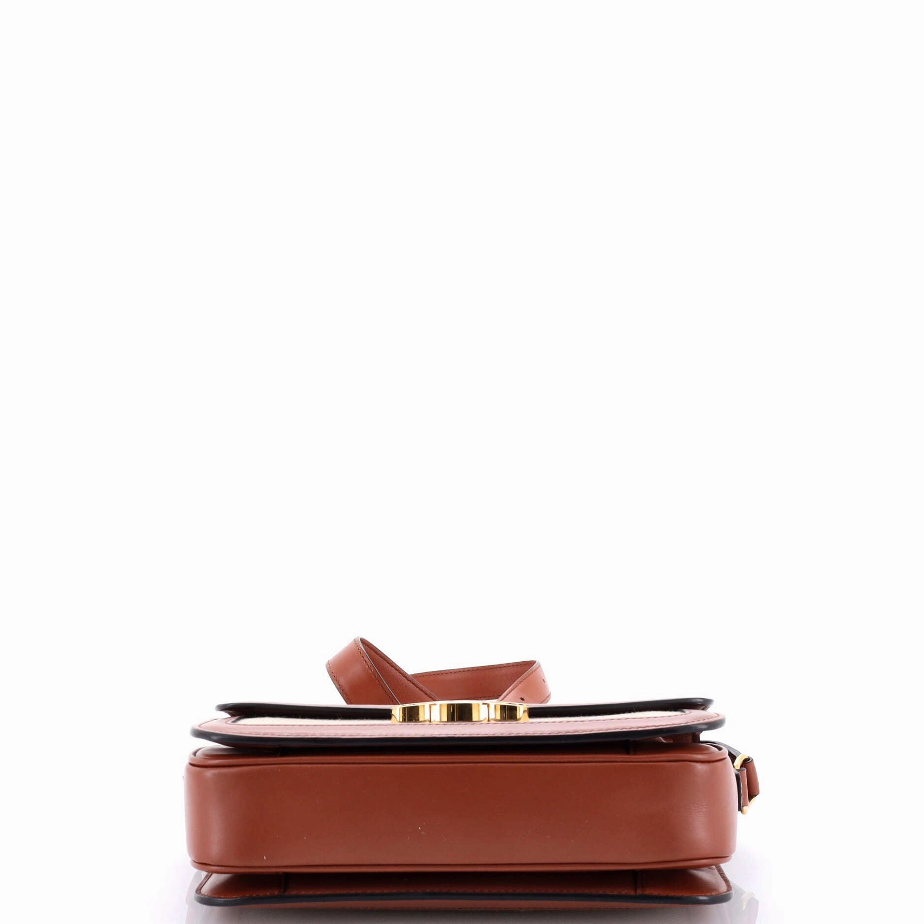 Triomphe Shoulder Bag Canvas with Leather Medium