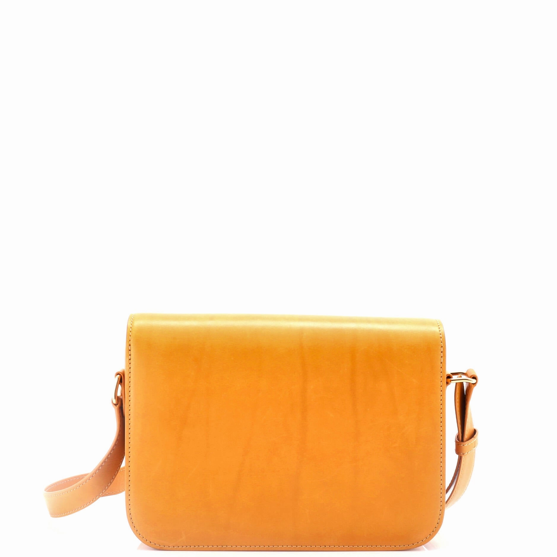 Triomphe Shoulder Bag Smooth Calfskin Medium