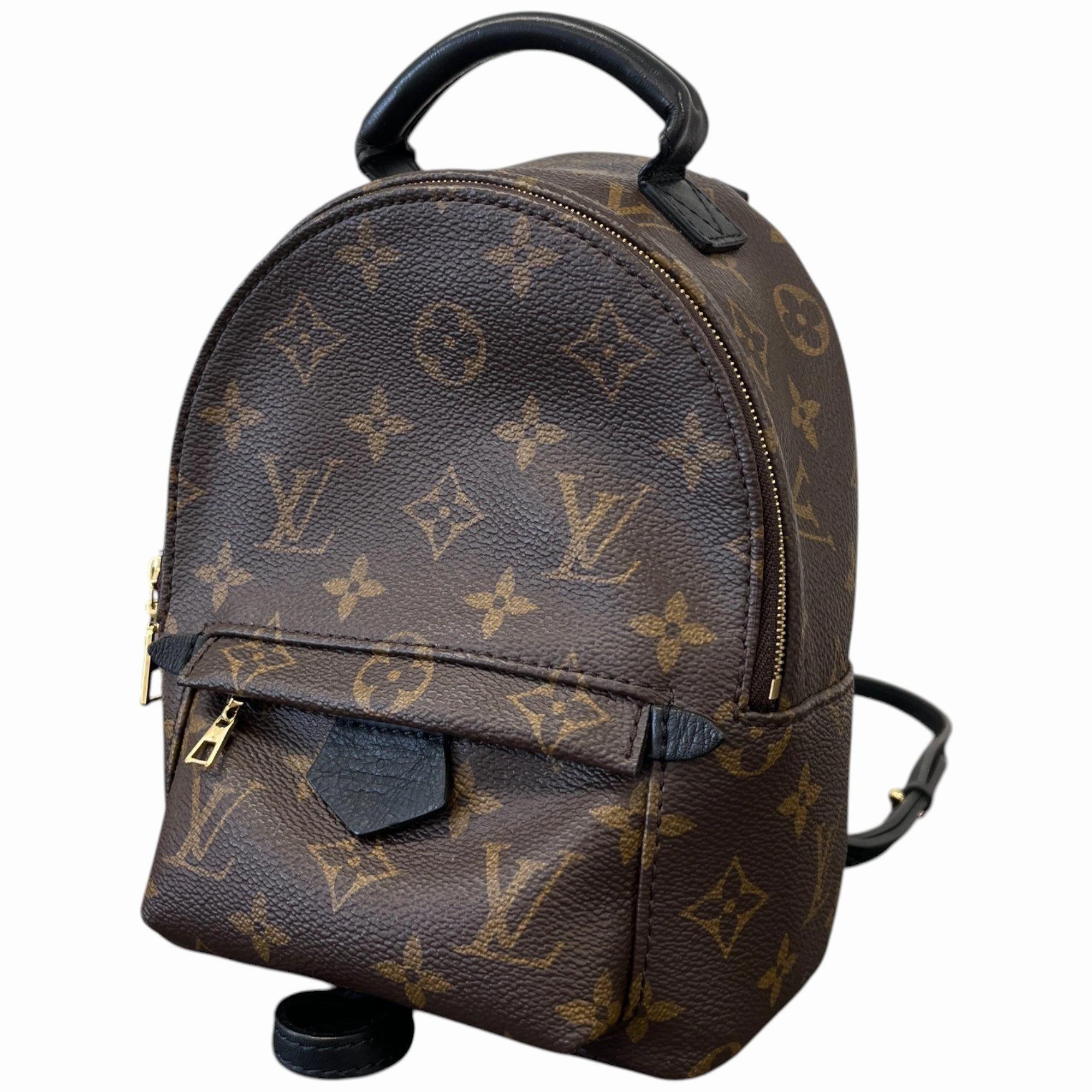 Women's Monogram Palm Springs Mini Backpack Brown