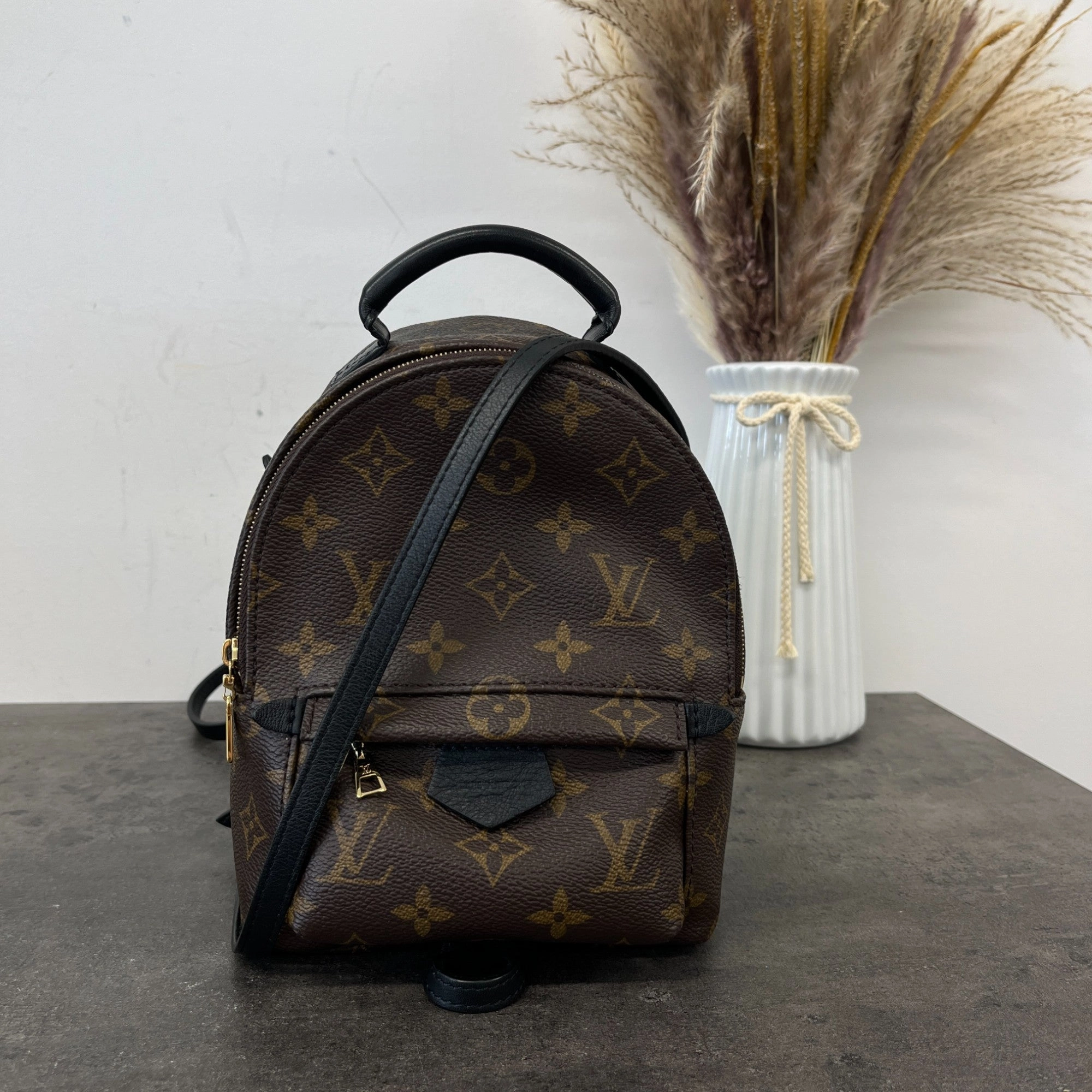 Women's Monogram Palm Springs Mini Backpack Brown