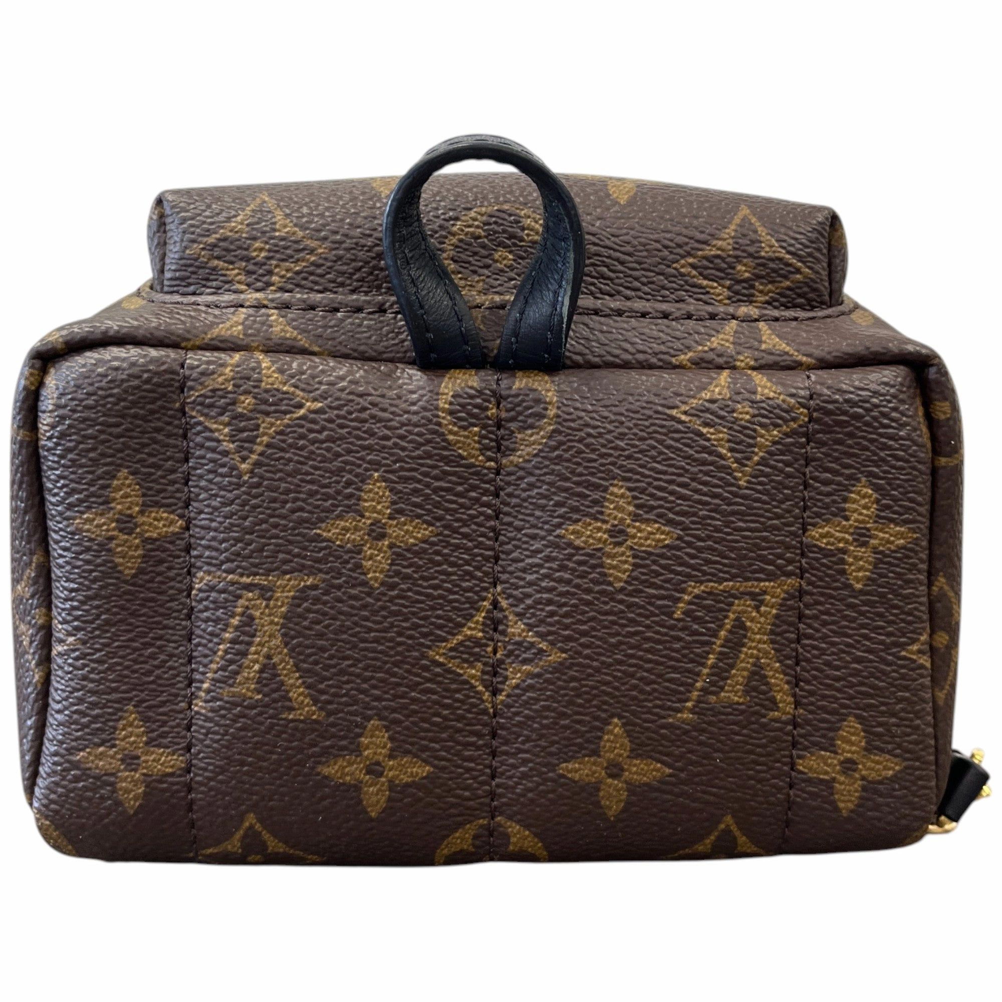 Women's Monogram Palm Springs Mini Backpack Brown